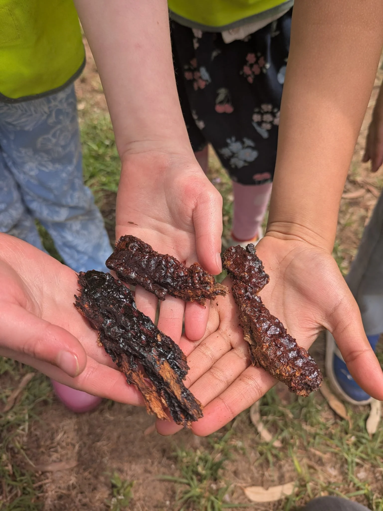 PHOTO-2026-03-26-13-10-49 3.jpg