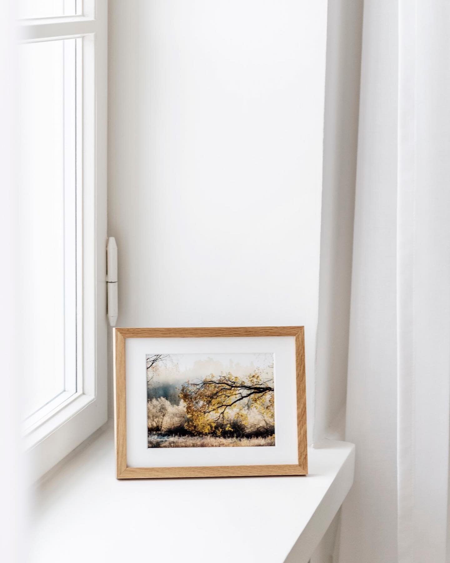A beautiful morning moment in Finnish nature✨

#photoart #photoprint #photoartstore #homedecor #homeinspiration #wallart #scandinavianstyle #photoartist #sisustus #artprint #finnishnature #handmade #decor #nikon #board #picture #nature #valokuvataulu