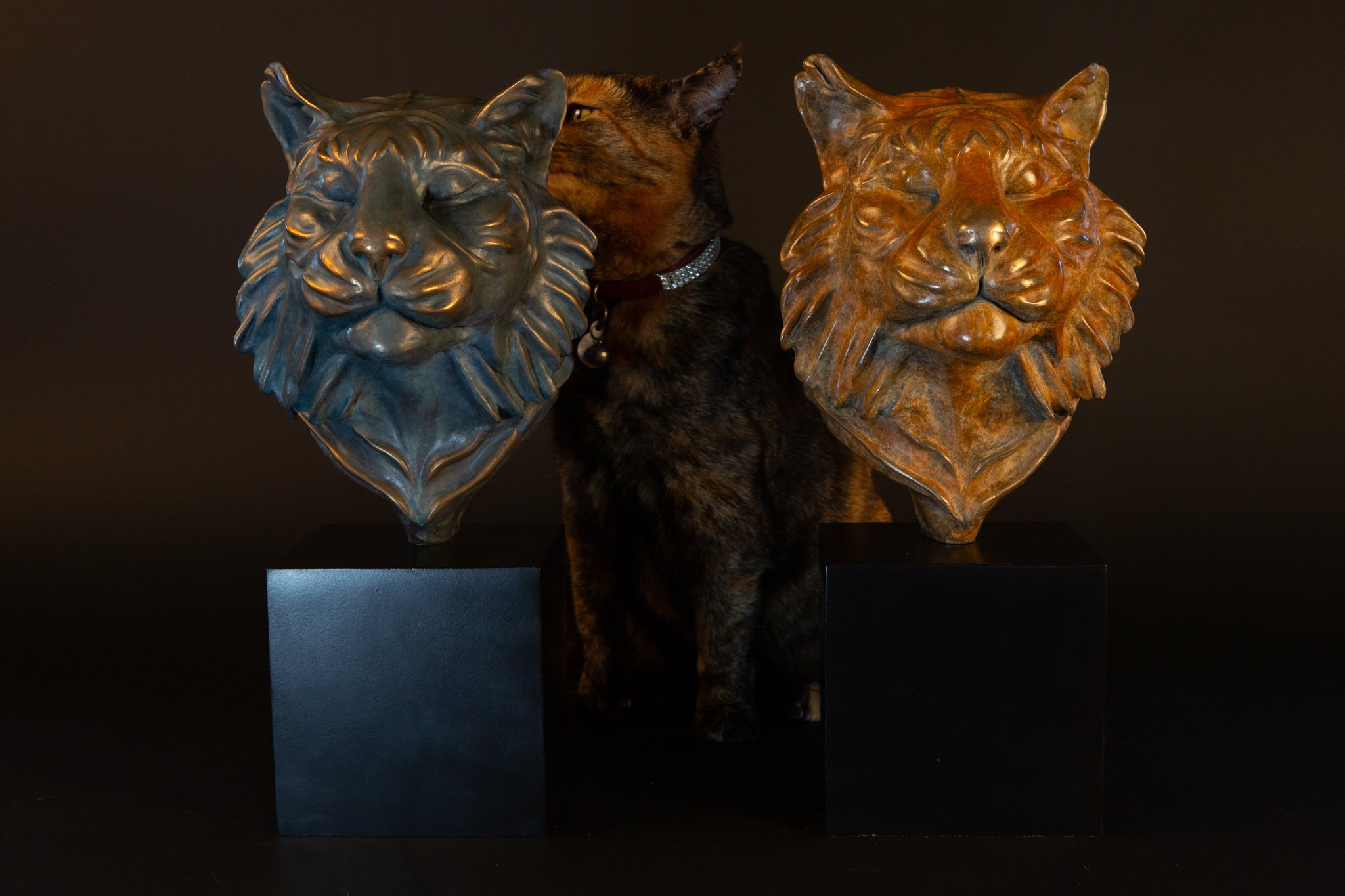 PHOTOBOMB BY IGGY (Not for Sale)