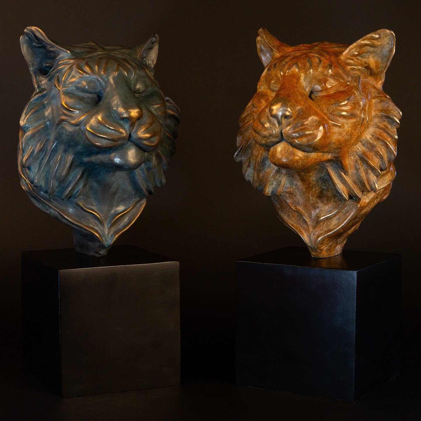 🐅 Meet Puna (Info below👇) my latest sculpture in Foundry Bronze&hellip;
My muse, is a stunning Sumatran Tiger - one of the world&rsquo;s most critically endangered big cats. Native to the lush forests of Sumatra, Indonesia, these majestic tigers ar