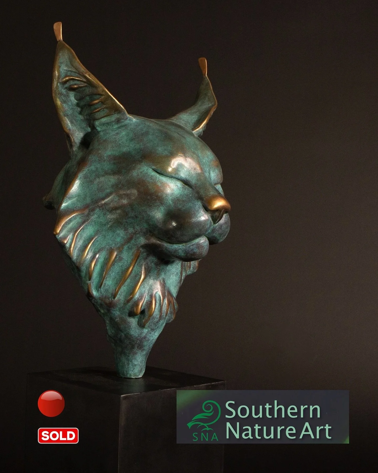 π΄ Sold - Petra @southernnatureartexhibition which was held at the gorgeous @rookesbury_park ! Thank you so much to the incredible team at @southernnatureartexhibition for including me in this year’s beautiful exhibition! I’m so happy tha