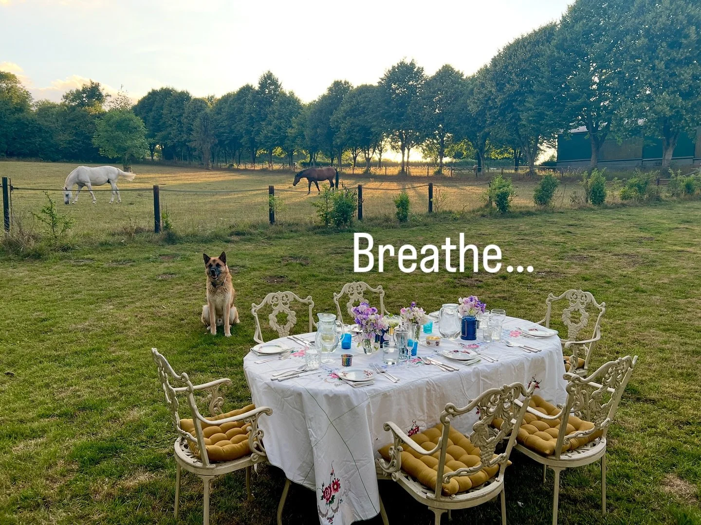 I’m back! Having moved both house and studio in the last month… I have had a wee break from posting! I am still relocating my studio, so a forced break has afforded me the time to breathe π§πΌ‍βοΈ and reset π
#breathe #sculpture #rel