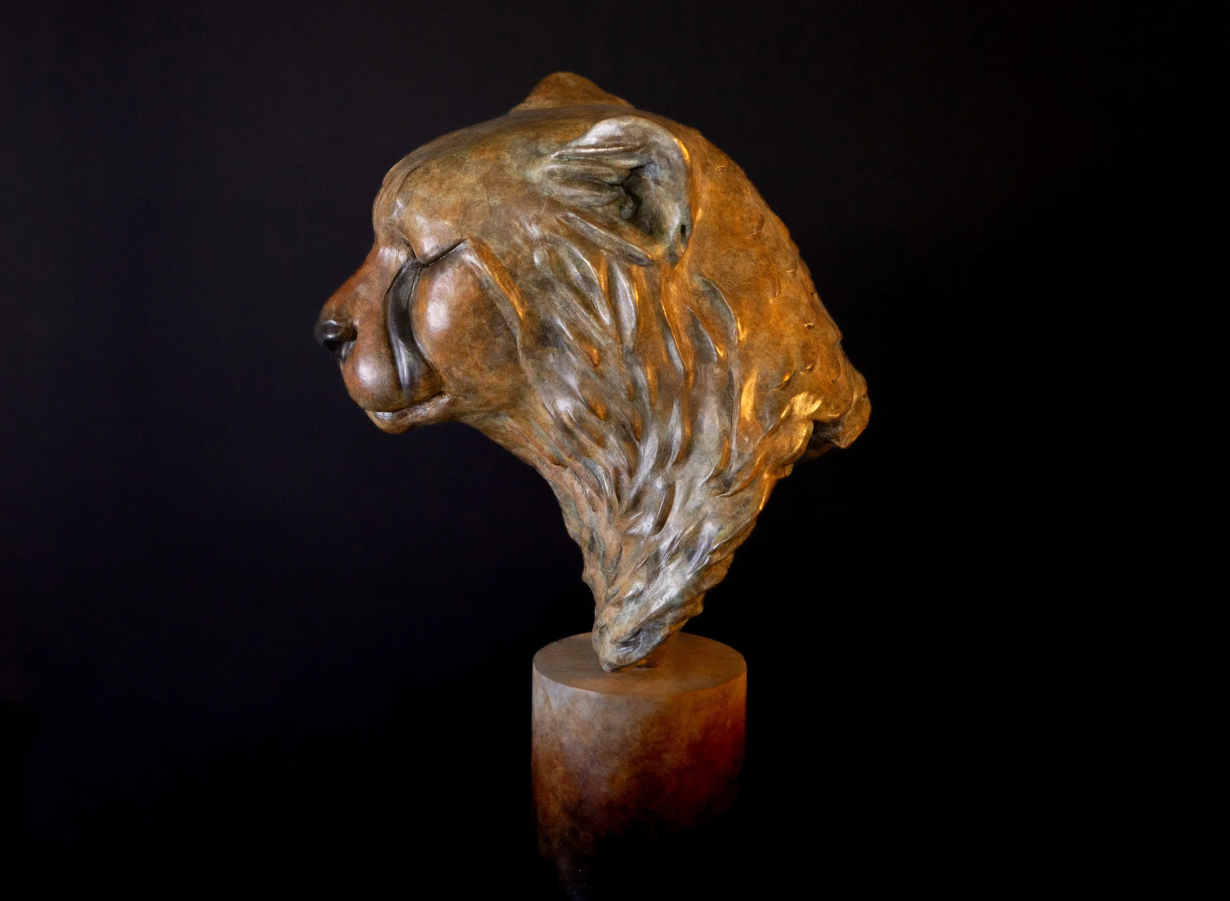 SUN KISSED PROFILE.jpg