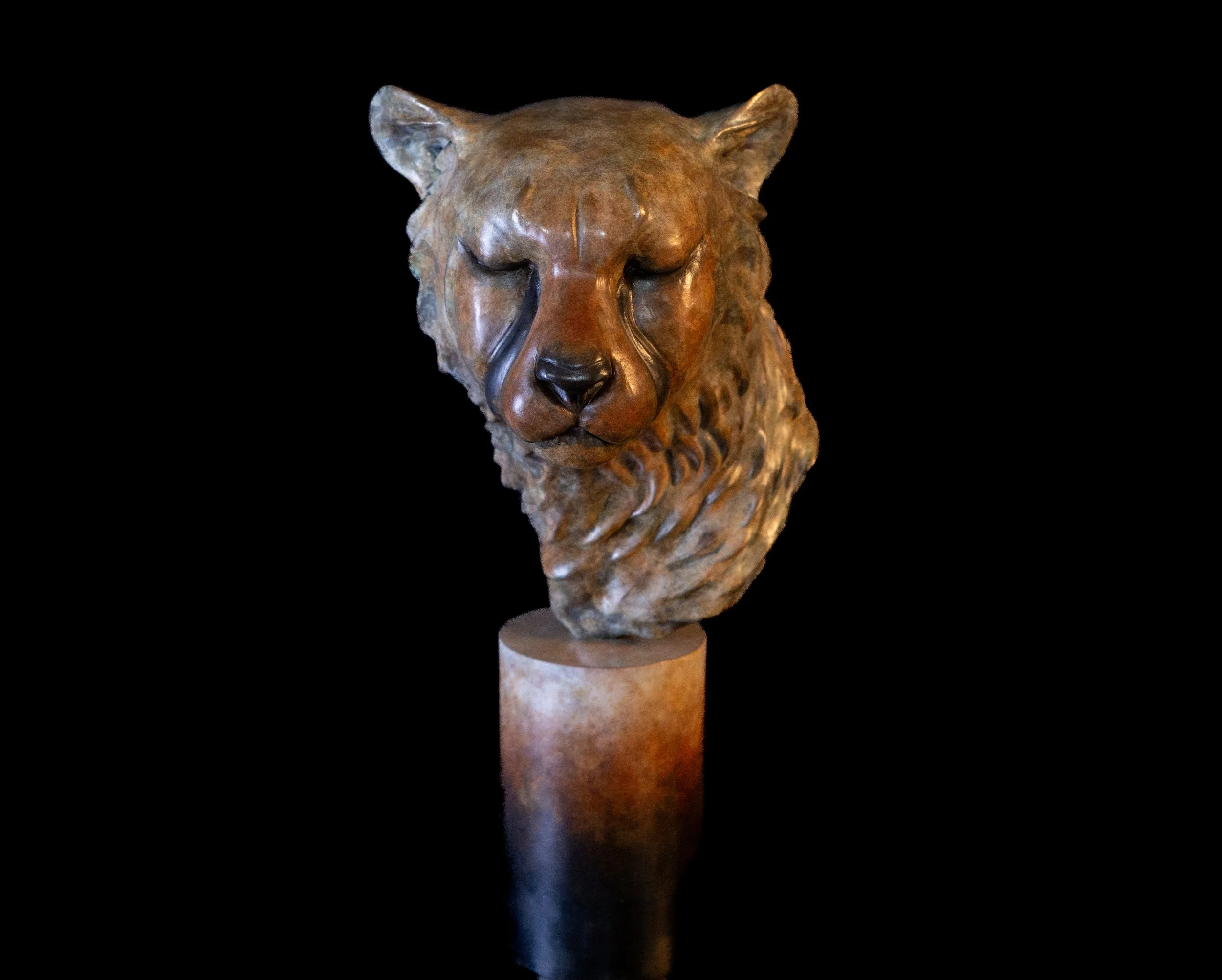 SUN KISSED FRONT.jpg