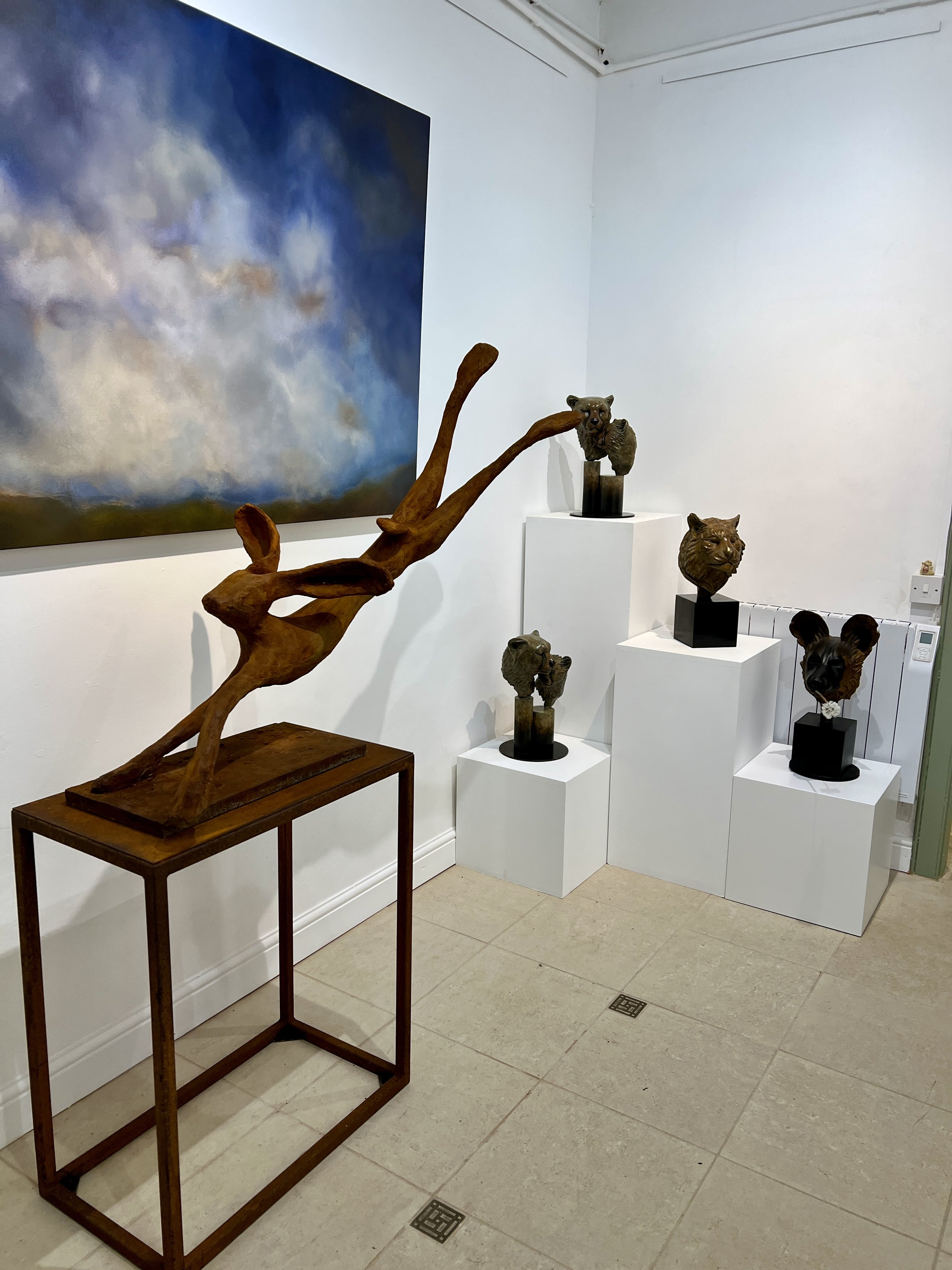 Beautiful Indoors or Outdoors