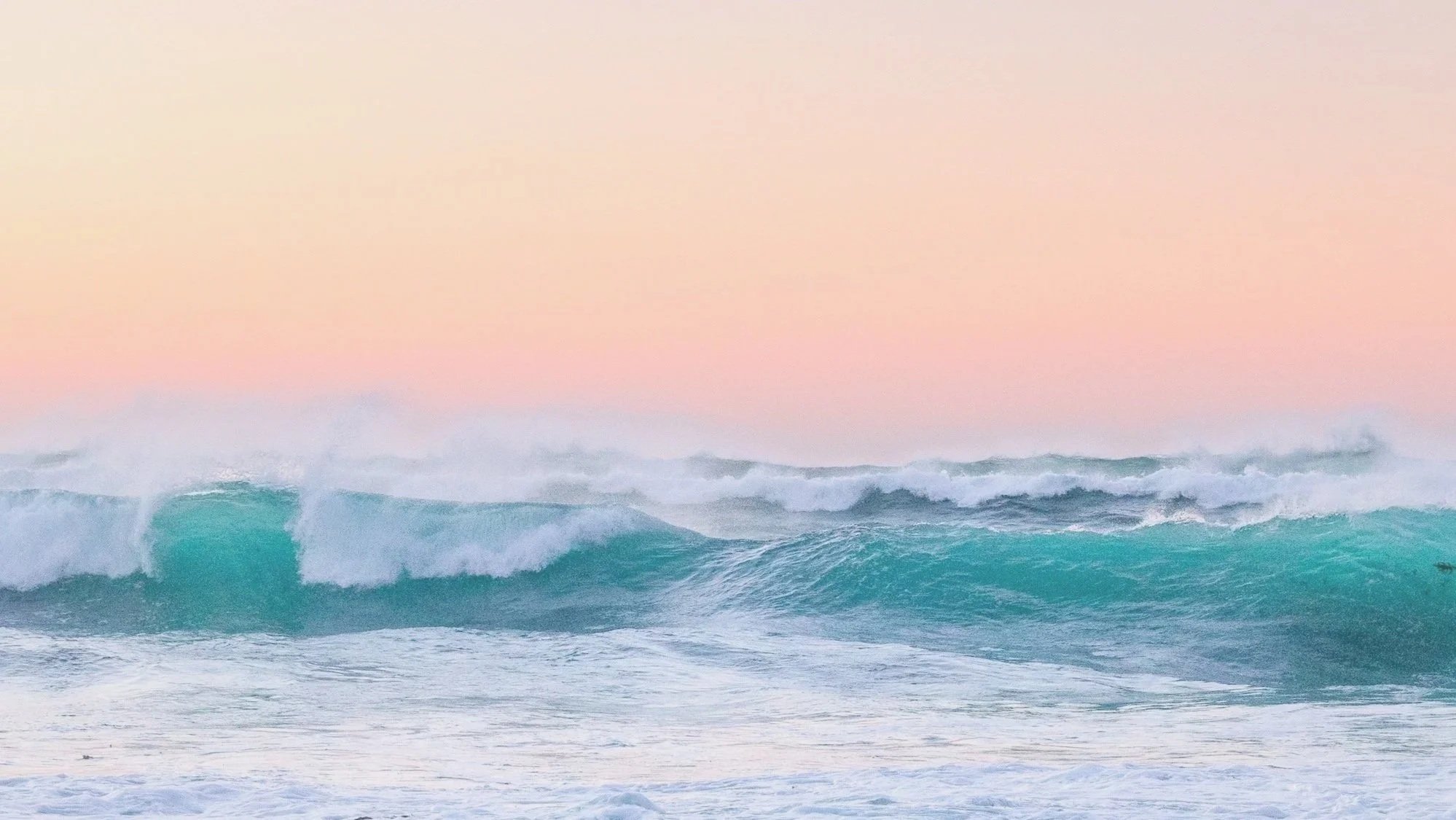 unsplash-image-nEw6iC2SOcM.jpg