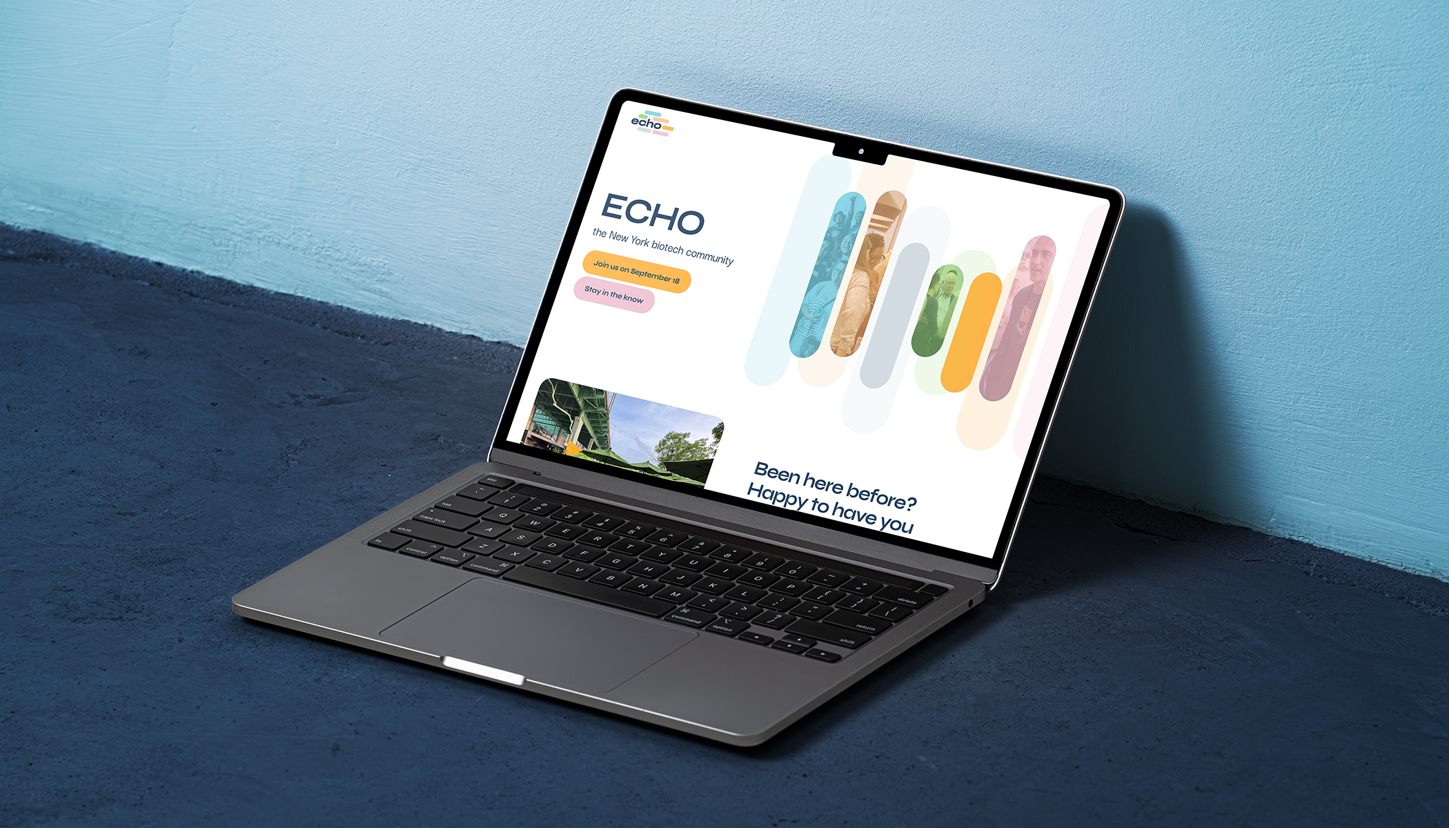 NB-CaseStudy-ECHO-website.png
