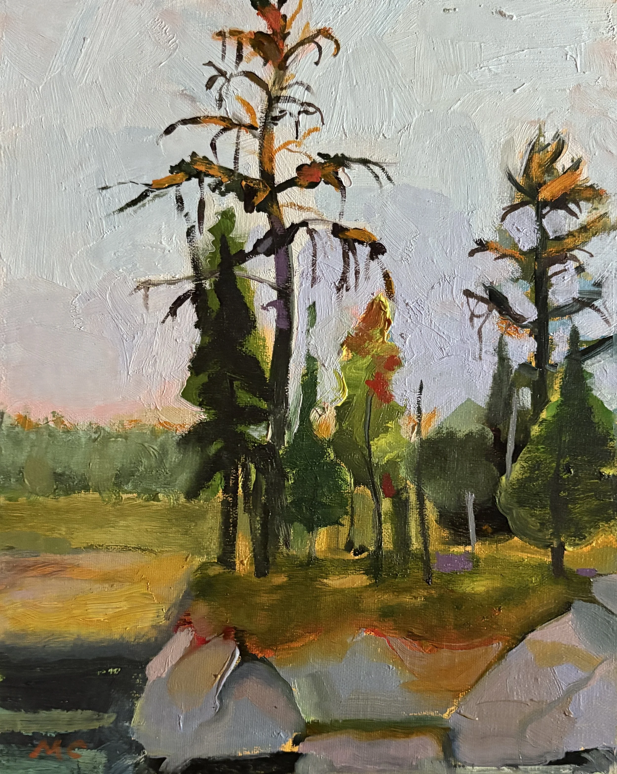 "Heron Marsh"  10" x 8" oil on linen panel  2025
JURIED into 2026 GVPAP annual show 2026
Available
