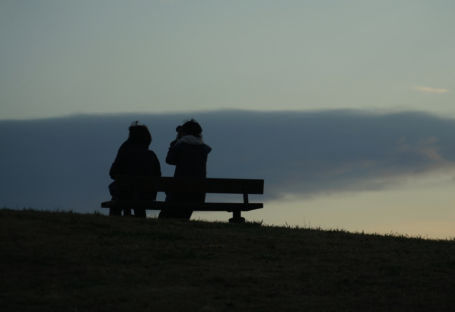 Why We Need Witnesses