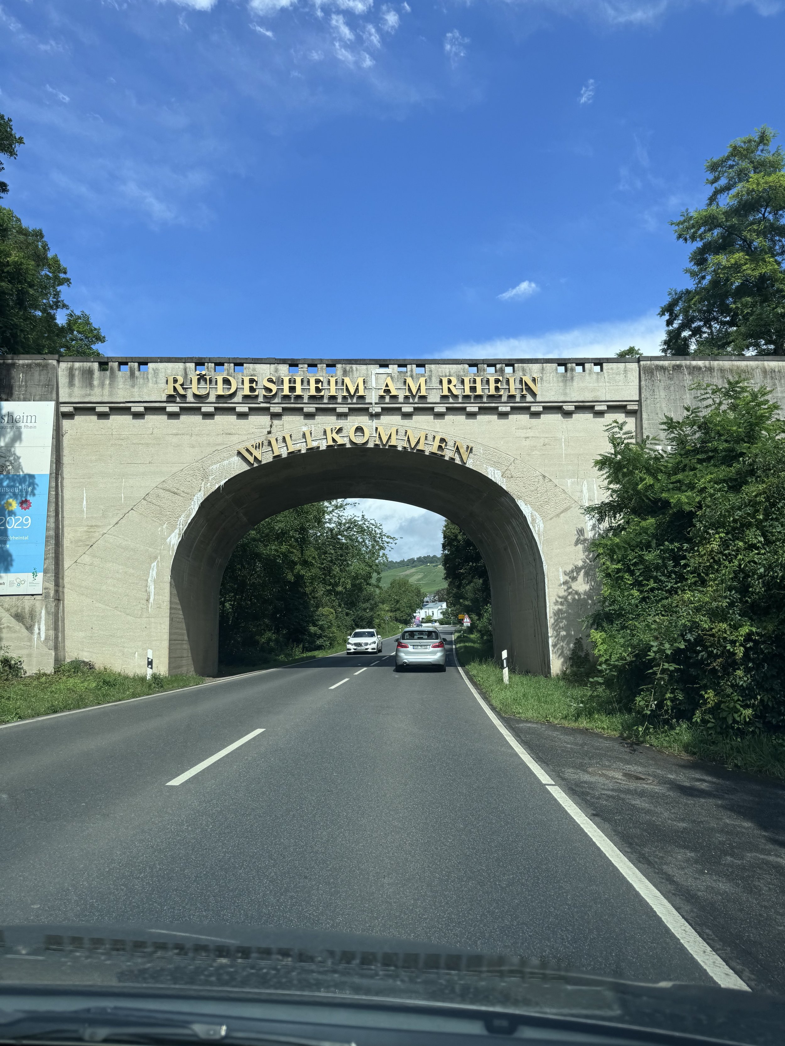 IMG_8296.jpeg