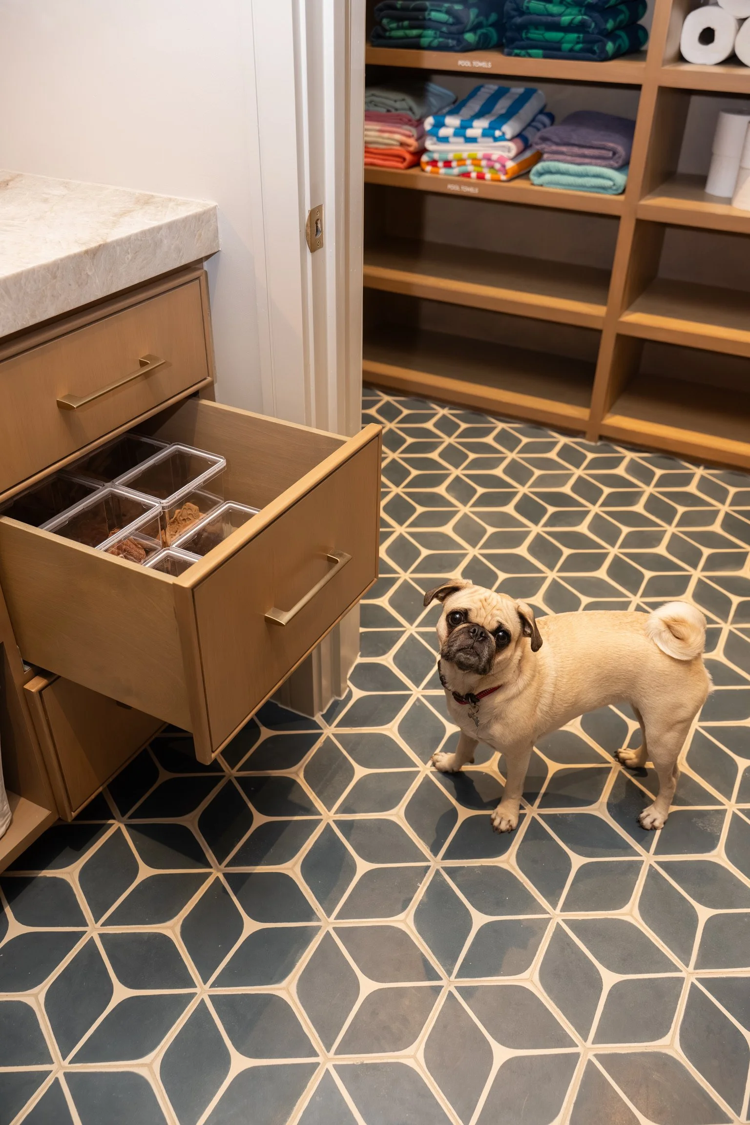 organize-dog-stuff-graceful-spaces-west-austin-texas.jpg