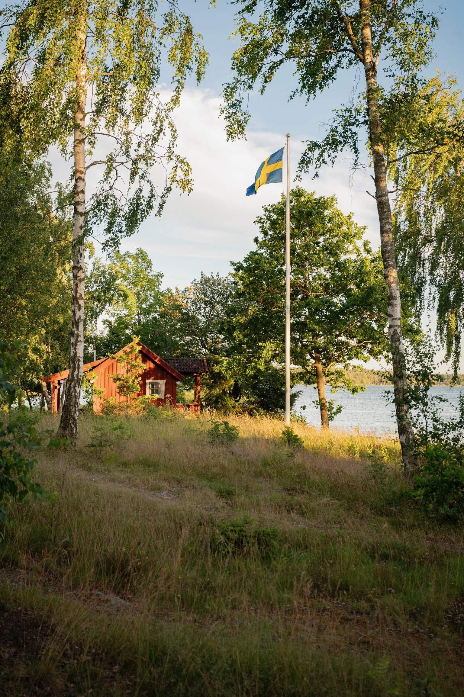 DSC_6317.jpg