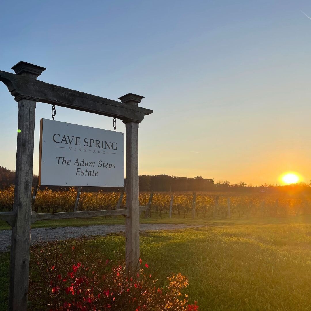 Experience the beauty of Cave Spring Vineyard through our Discovery Pass Program! 🥂 ✨

#vqa #grapeandwine #niagarawine #niagaratourism #winelovers