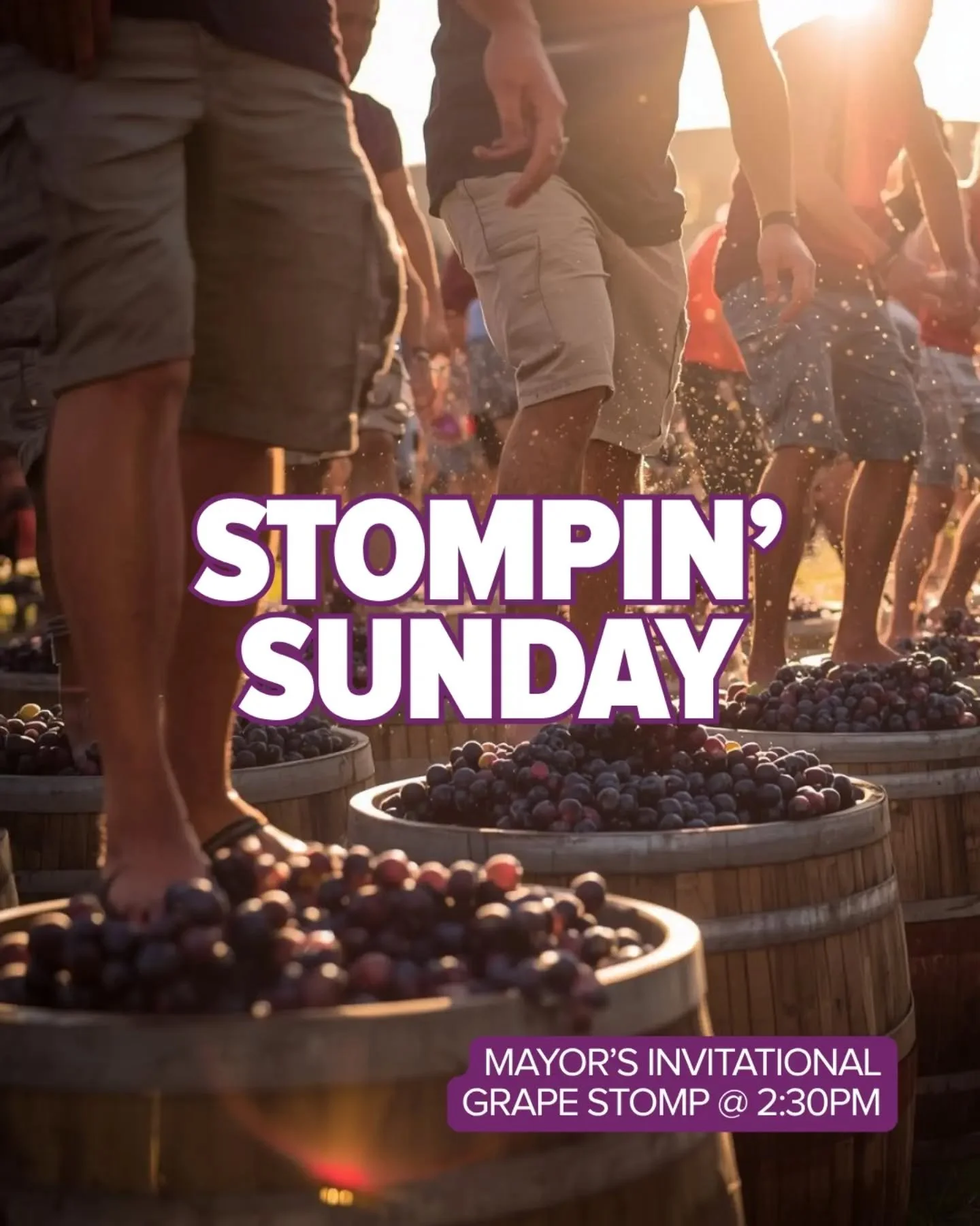LAST CALL! 🍷🎉

There&rsquo;s still time to join the fun at Canada&rsquo;s biggest wine festival!

Today at Montebello Park enjoy a full day of exciting experiences, including:

🧘 Yoga in the Park
🍷 Wine &amp; Culinary Village
🎶 Live Musi