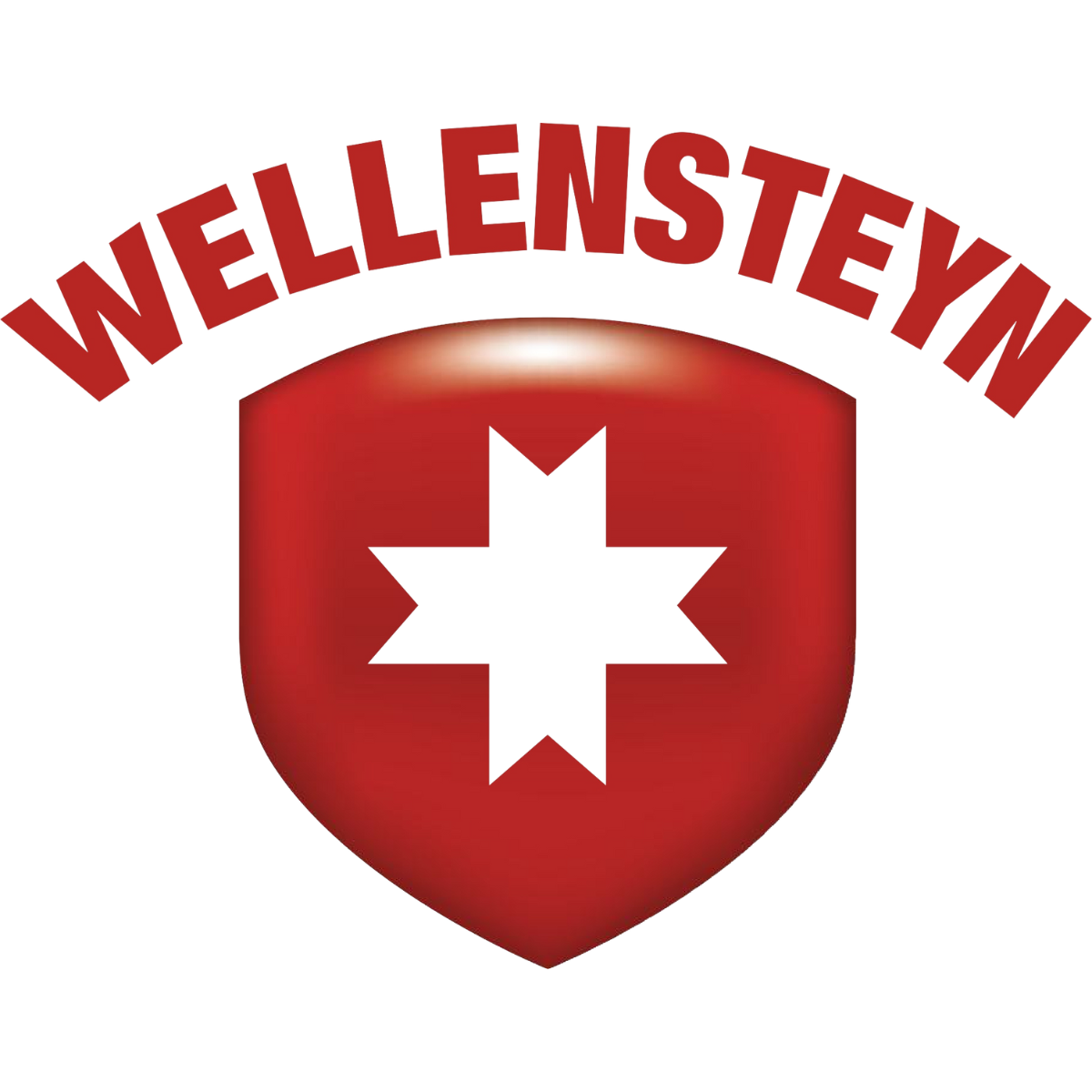 Wellensteyn logo.png