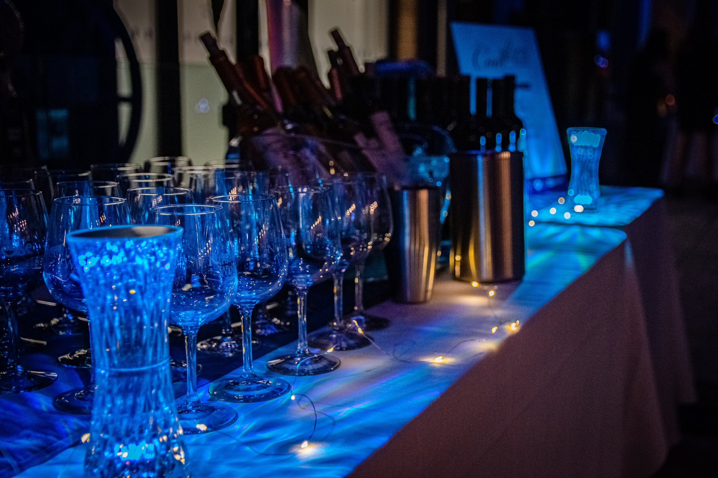 2023 Ice Wine Gala-075.jpg