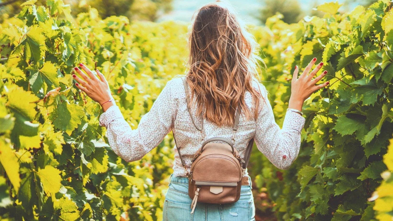 Discover Niagara Niagara Grape & Wine Festival