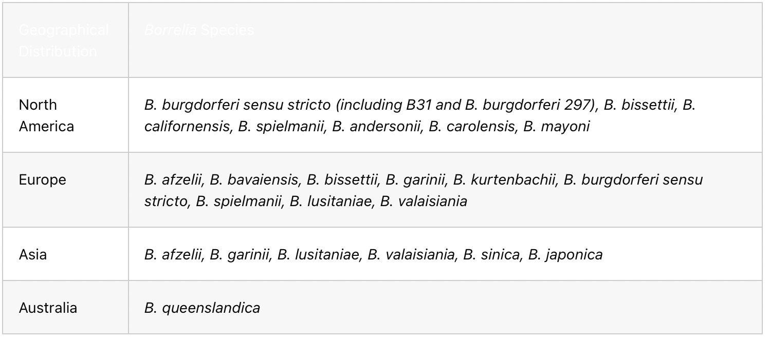 Functional Medicine Lyme Disease Testing — Inspirit
