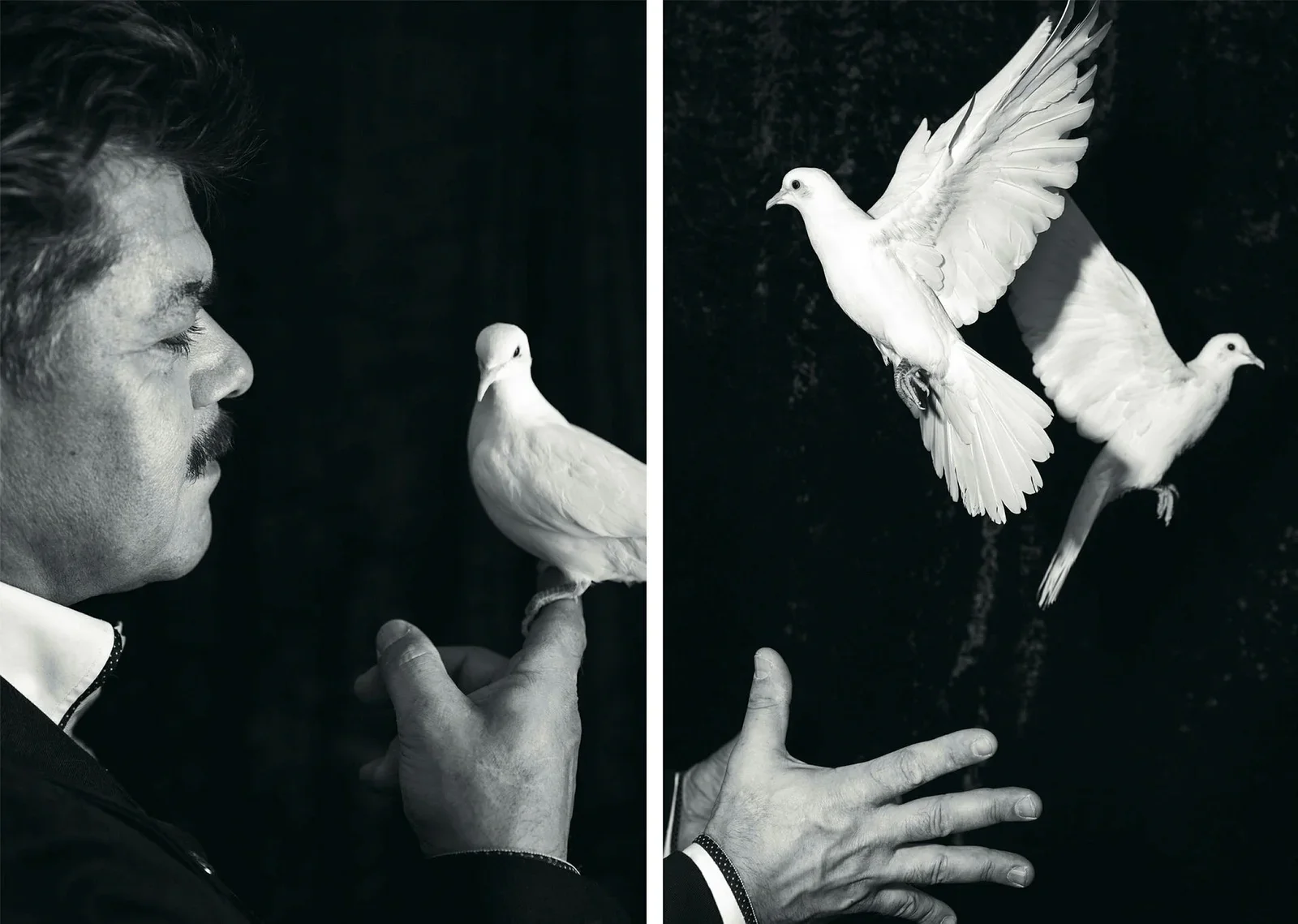 19a57ff40534b7528fe6d680d7067568 (1).webp