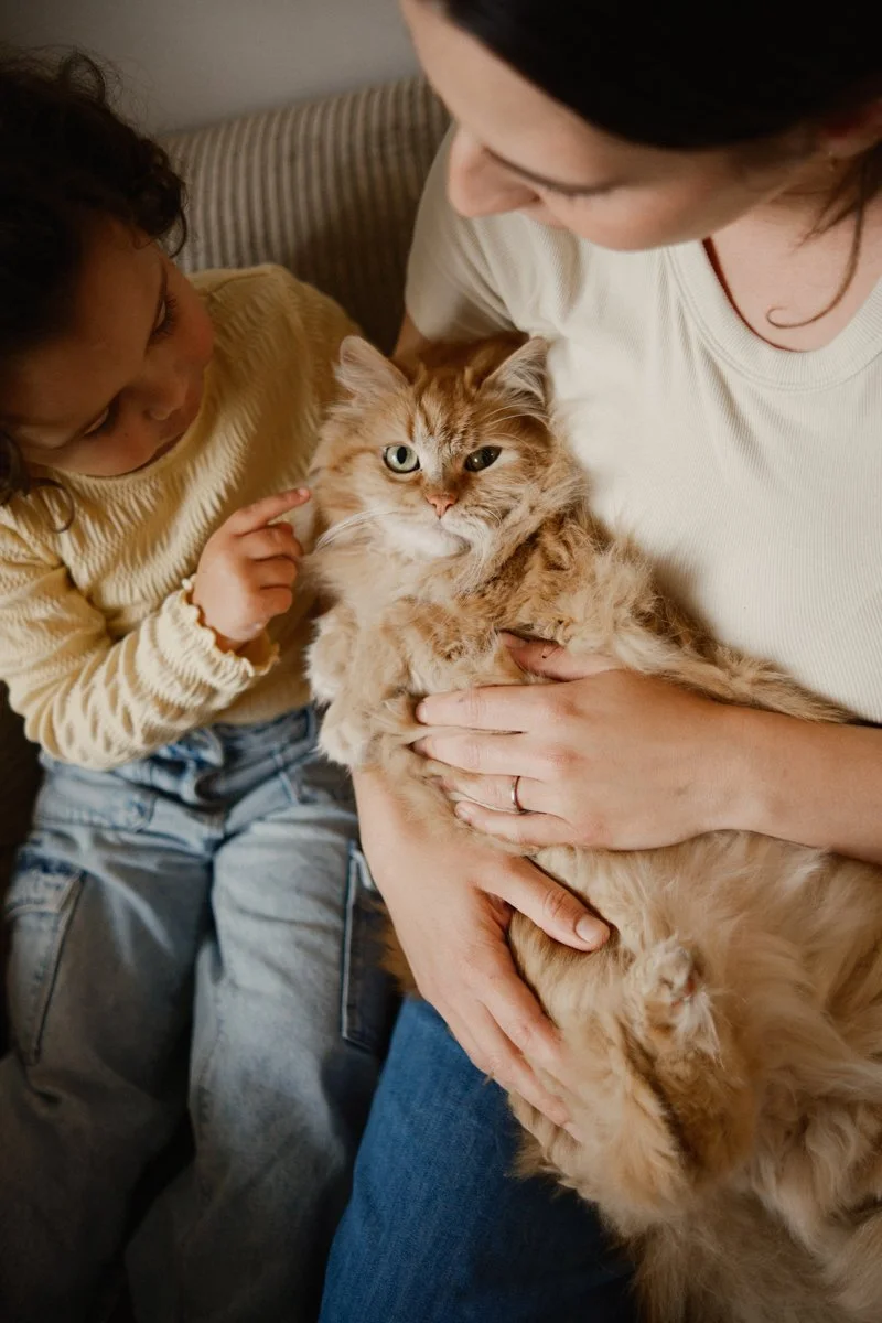  famille matérnité grossesse nouveau né-108.jpg
