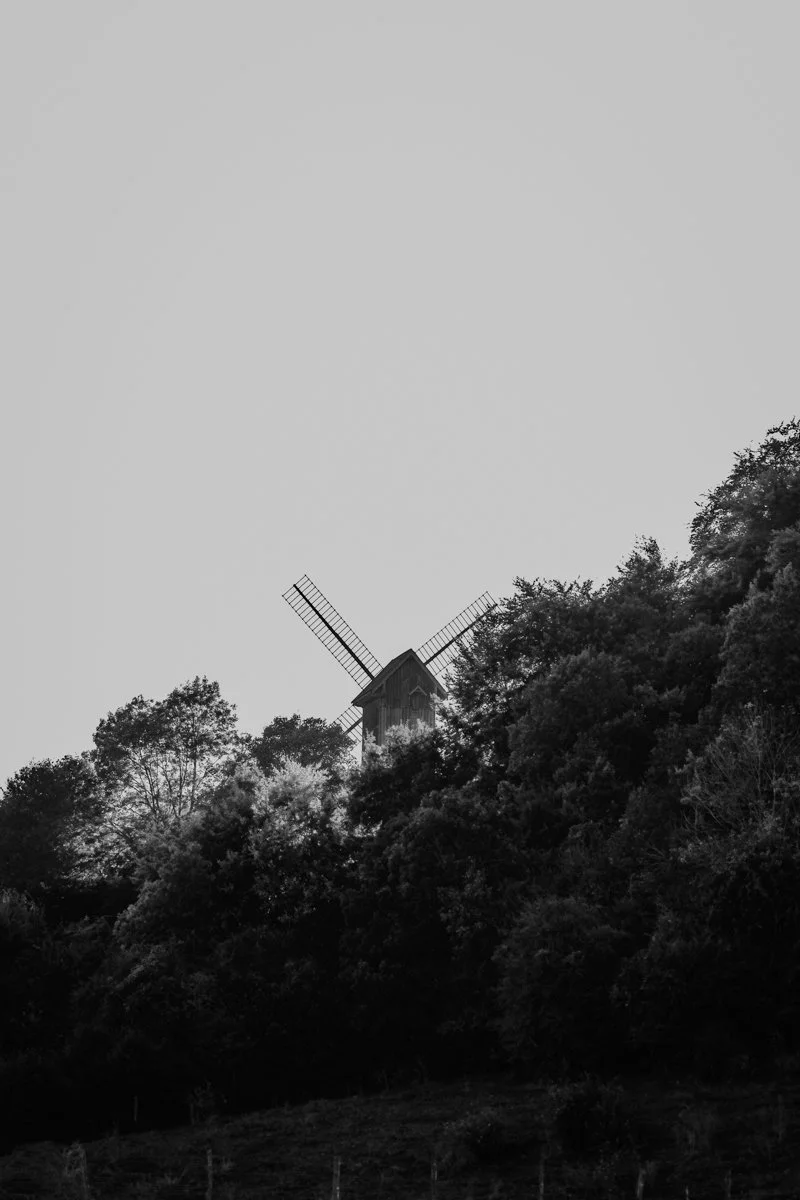 Mariage Coline & Louis (47).jpg