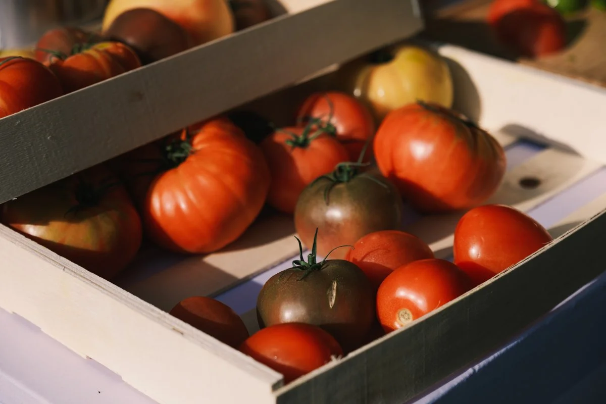 Mariage Jess Gilles (39).jpg