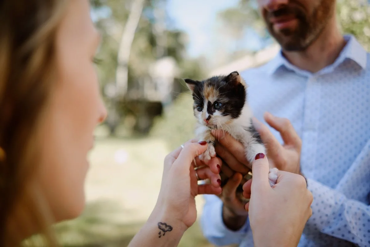 Mariage Coline & Louis (6).jpg