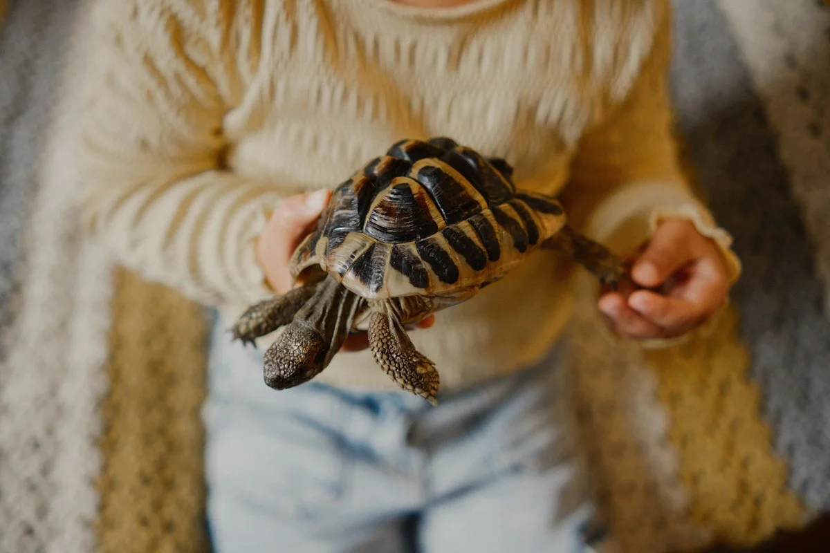  famille matérnité grossesse nouveau né-111.jpg