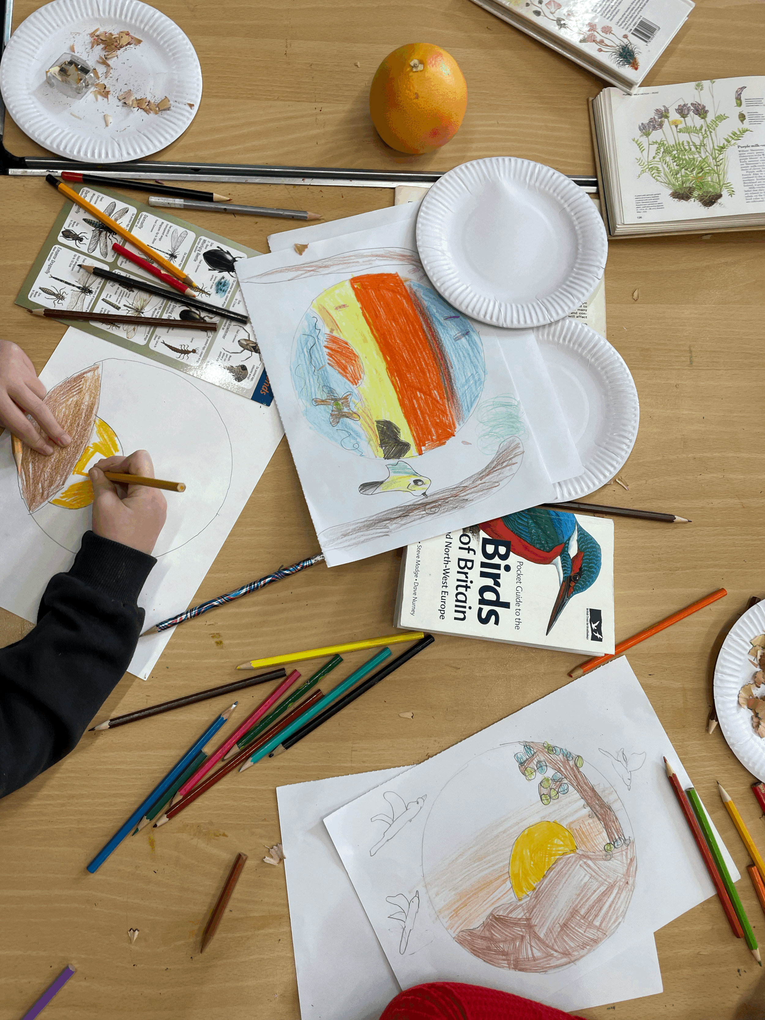 Clwb Celf - Saturday morning art club  (Copy)