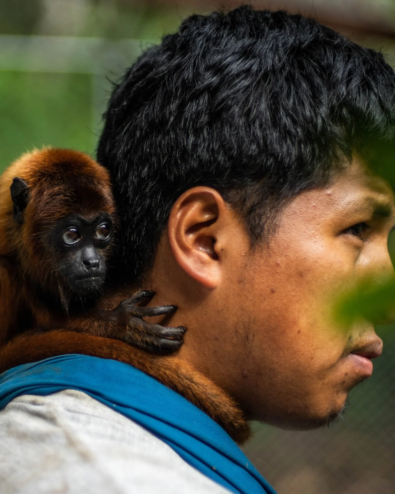 Wildlife conservation is also about the people who dedicate their lives to protecting animals. At @senda_verde in Bolivia, rescued wildlife receives care and protection while the organization works to address the larger threats facing animals and the