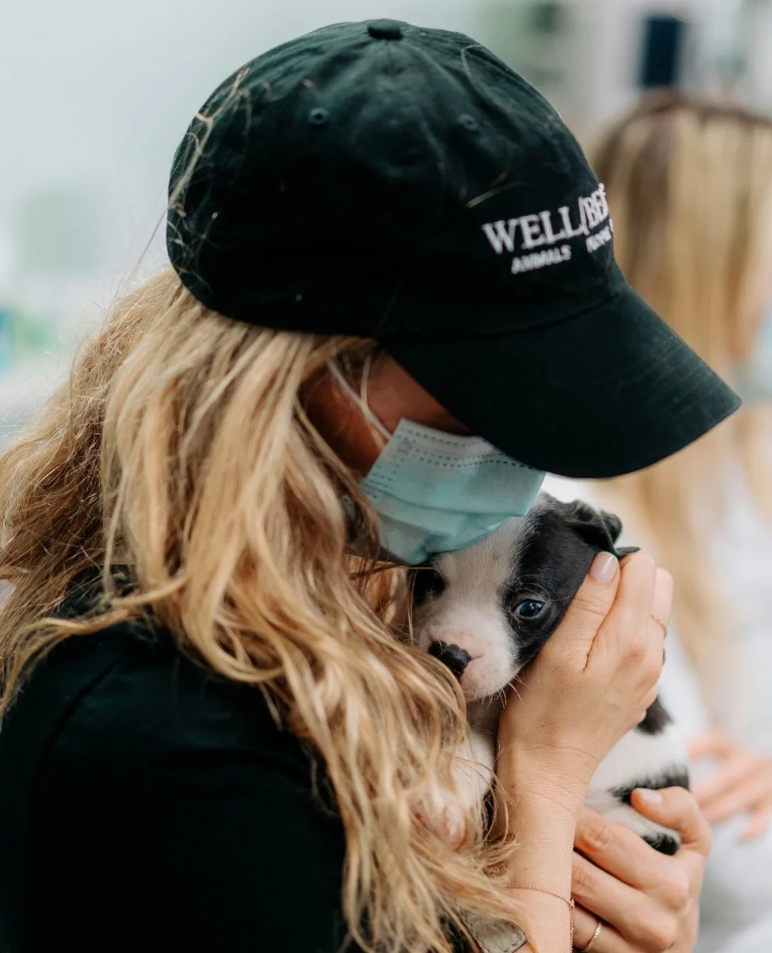 A safe home for a dog or cat can also mean a safer habitat for wildlife. On Vieques, animal welfare and island conservation are closely connected. Free-roaming dogs and cats can hunt native species and disrupt nesting birds, making responsible owners