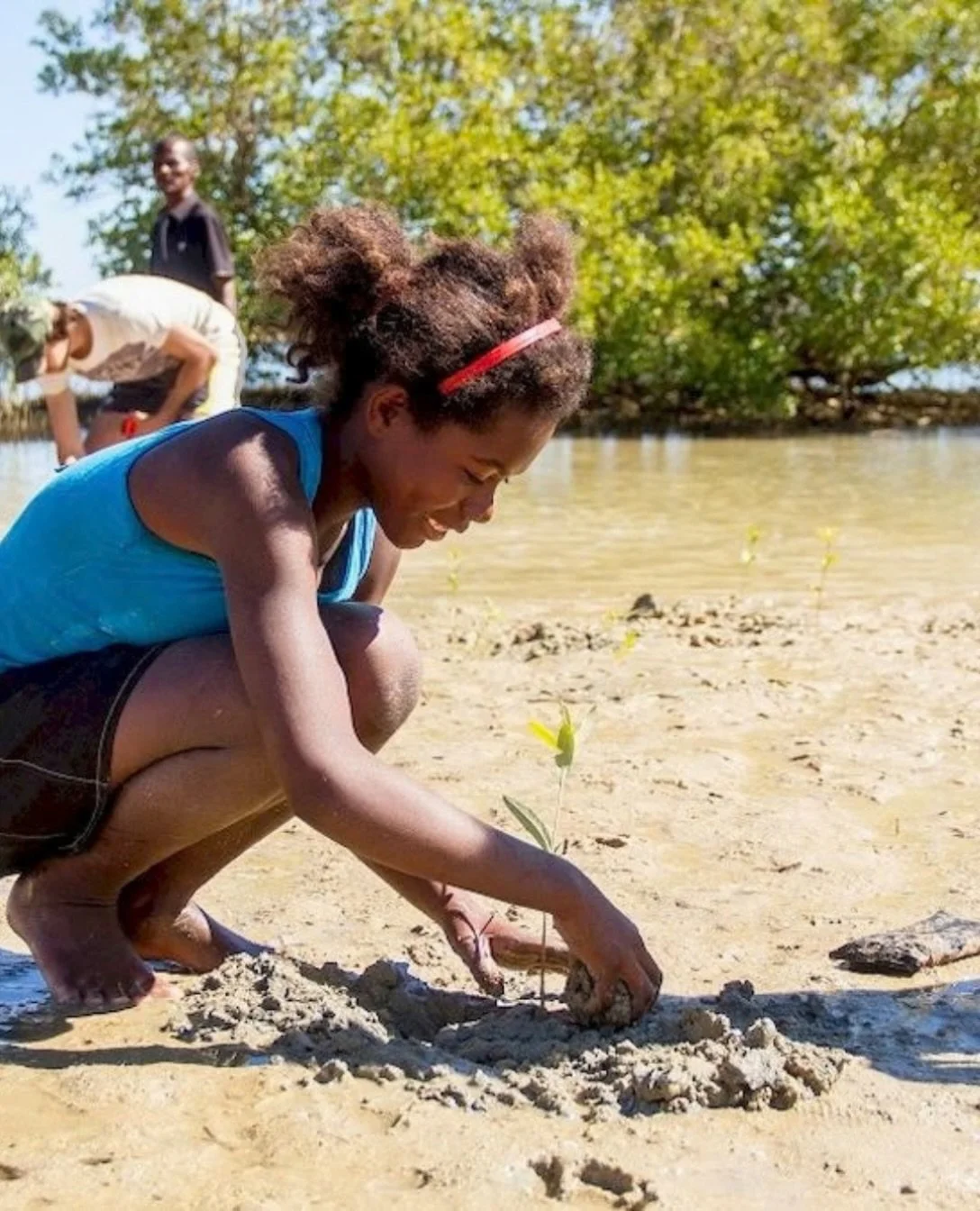 Mangroves matter to everyone, no matter where in the world you are. These coastal forests capture and store carbon, shelter biodiversity, and help protect communities from erosion and storms. Their loss weakens natural systems that support a more res
