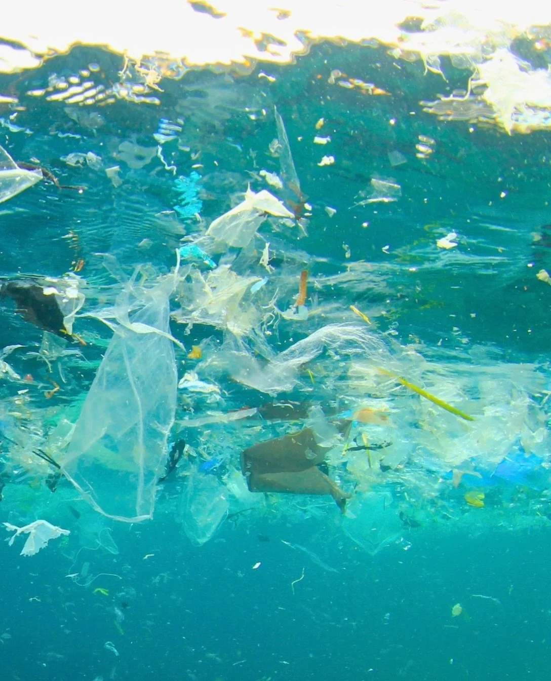 Ocean pollution crosses borders, and addressing its causes takes cooperation across them. Waste entering a river in one country can reach waters shared with another. Lasting progress requires action upstream: preventing waste, improving disposal, and