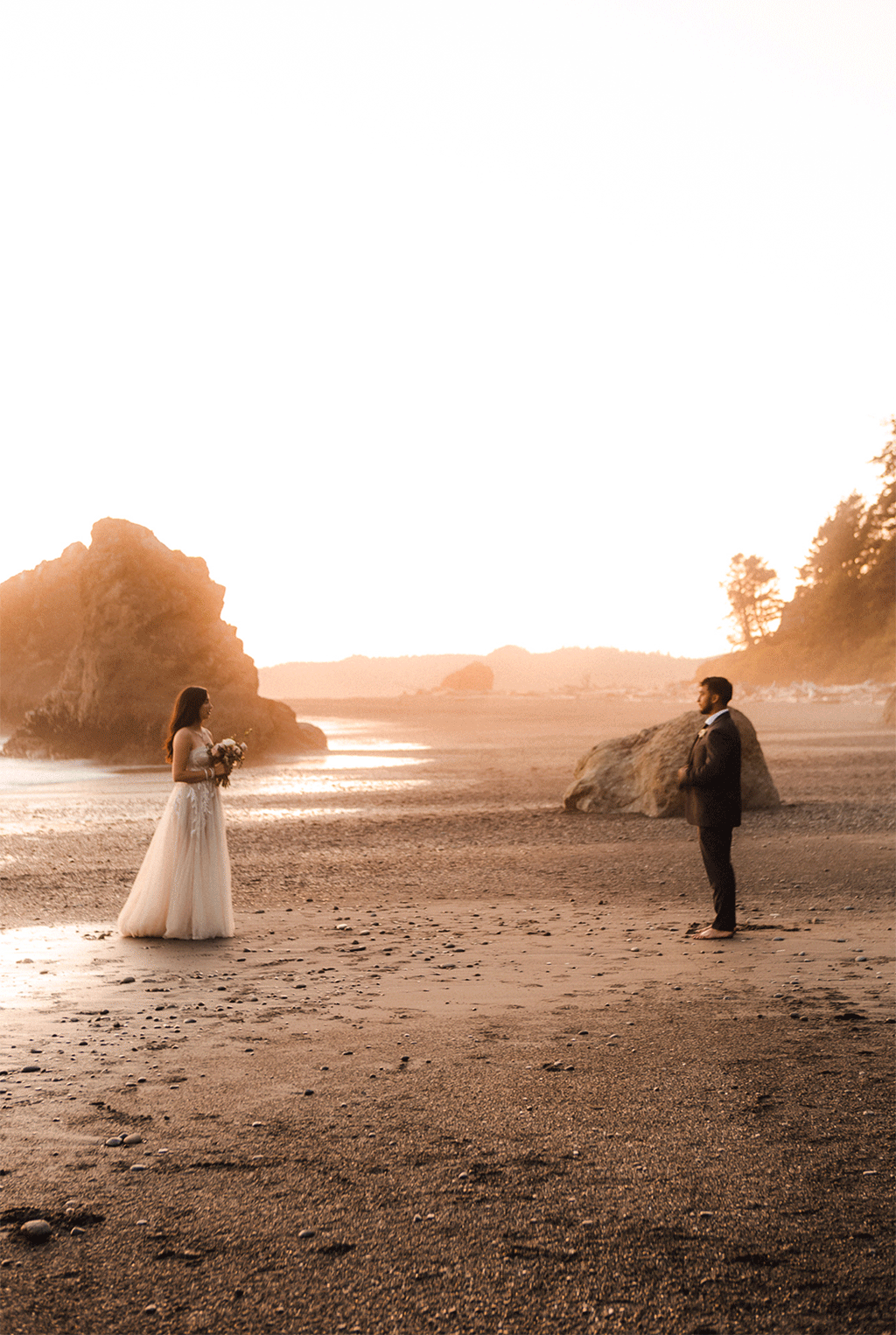 E. & E. | Hoh Rainforest and Ruby Beach Elopement at Olympic National Park, PNW