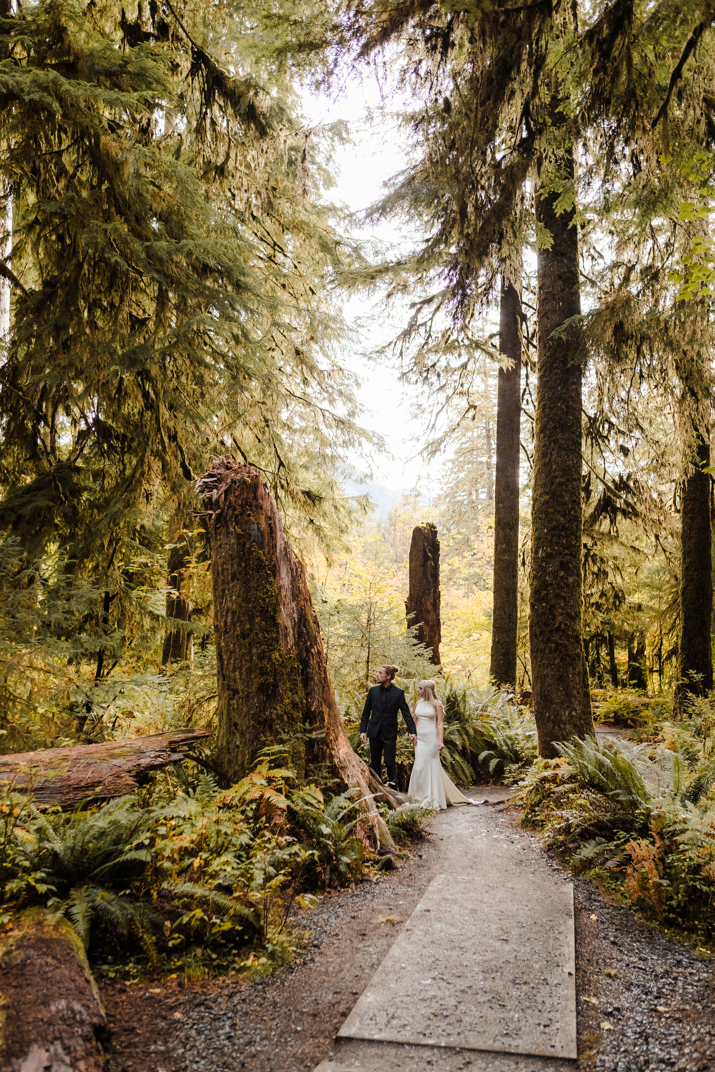 forest elopement.png