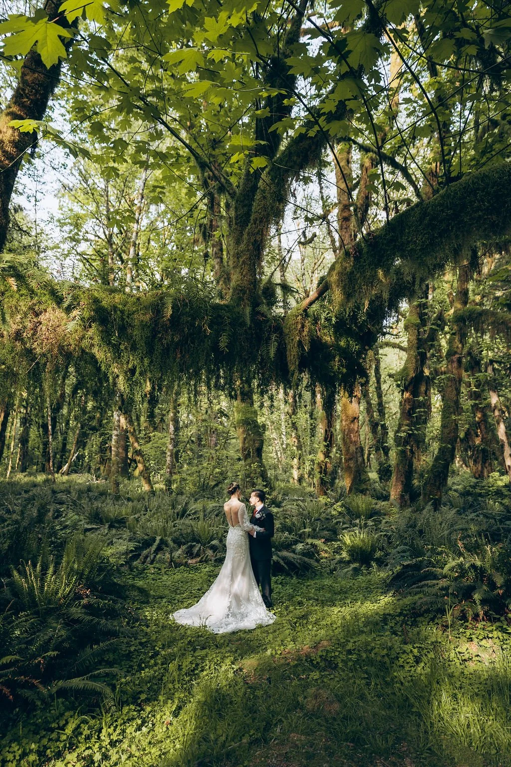 Gorgeous Hidden Rainforest Elopement |&nbsp;A. &amp; A.