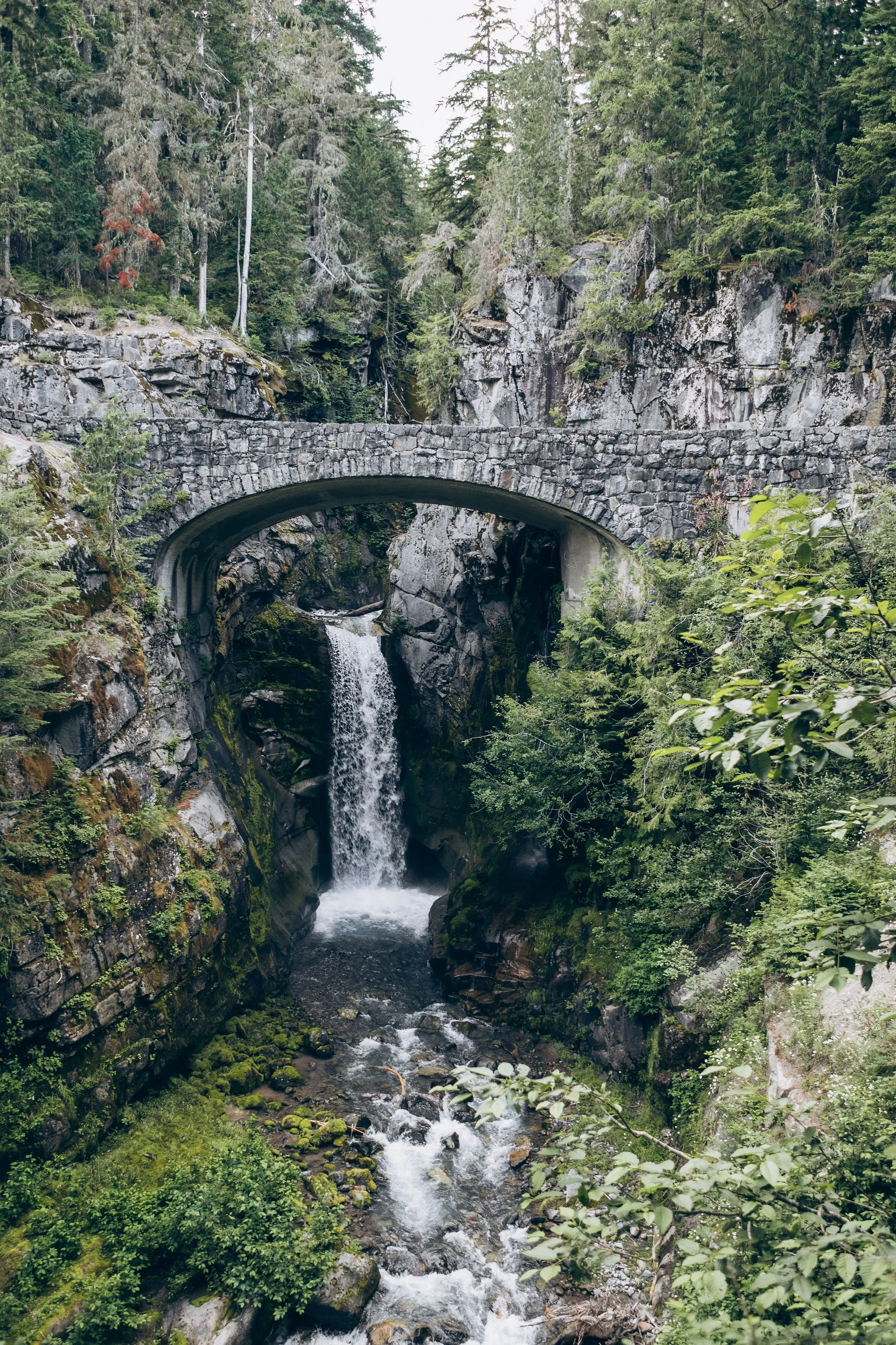 christine-falls-elopement-ceremony-mount-rainier.jpg