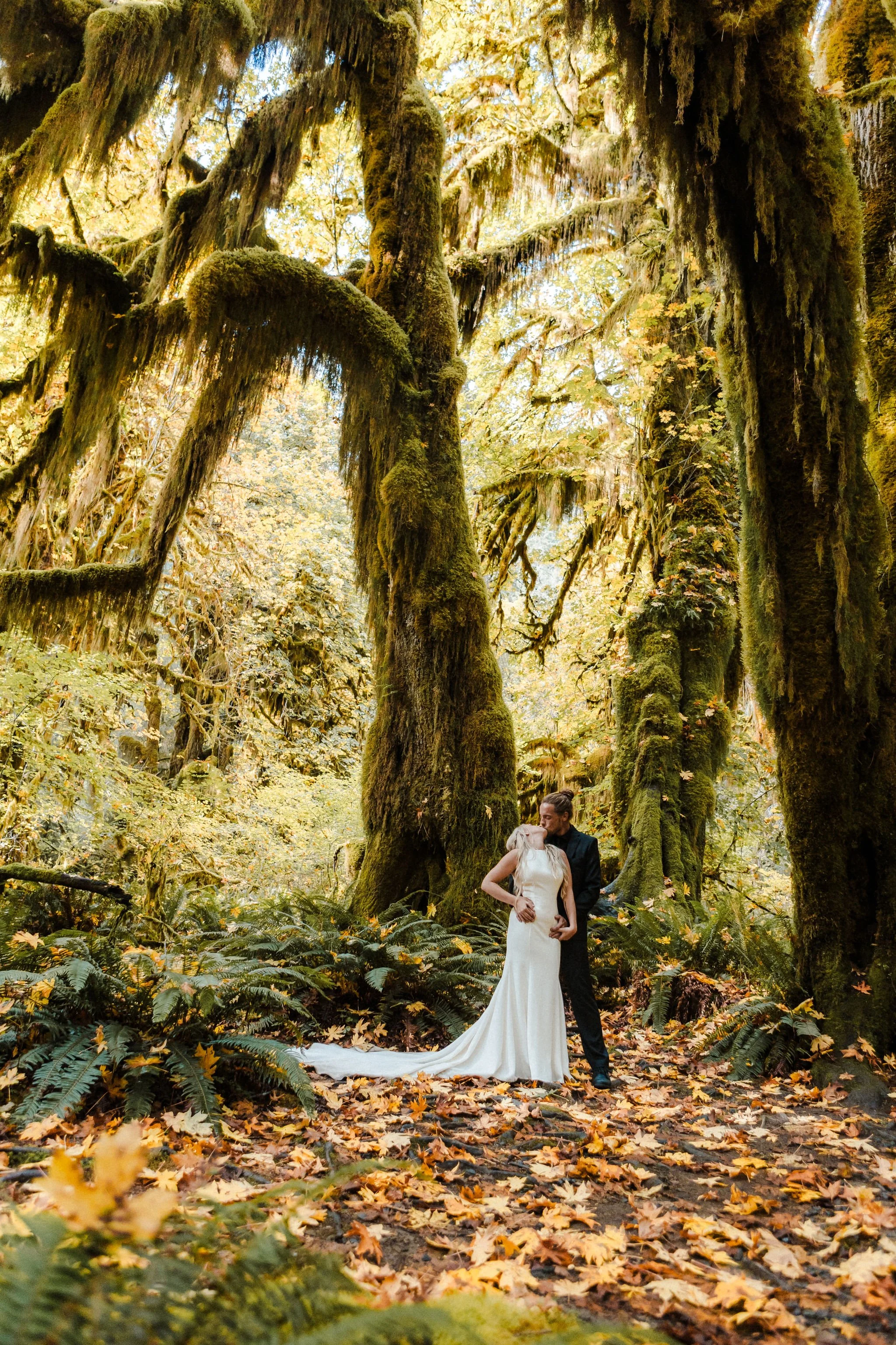 hoh-rainforest-fall-elopement-mossy-trees-olympic-national-park.jpg