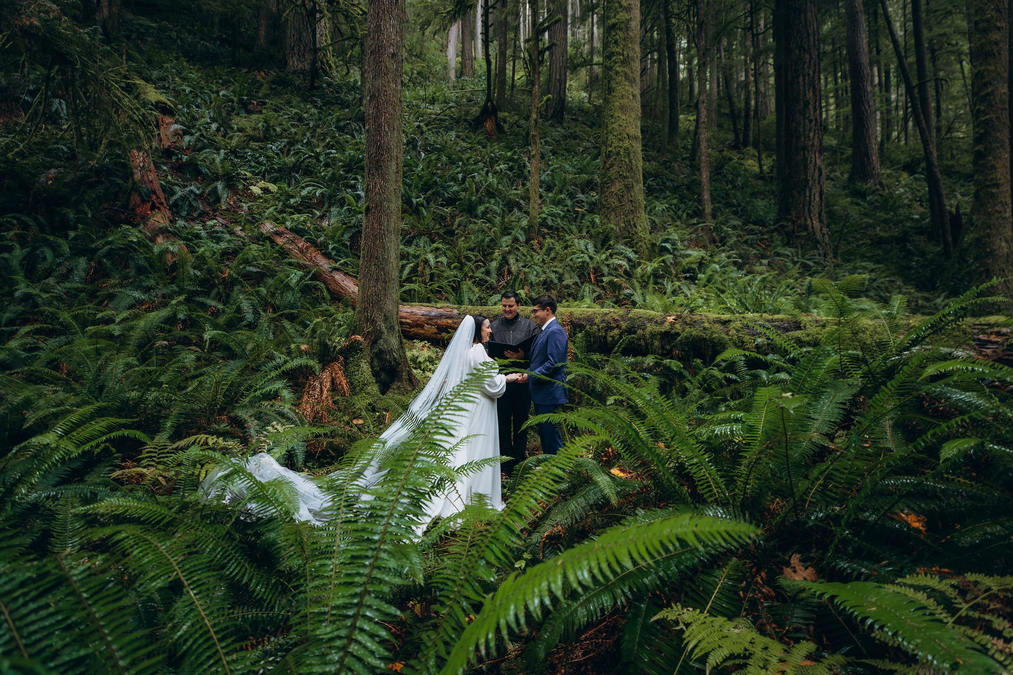 Marymere Falls forest elopement ceremony in Olympic National Park surrounded by ferns and old-growth trees