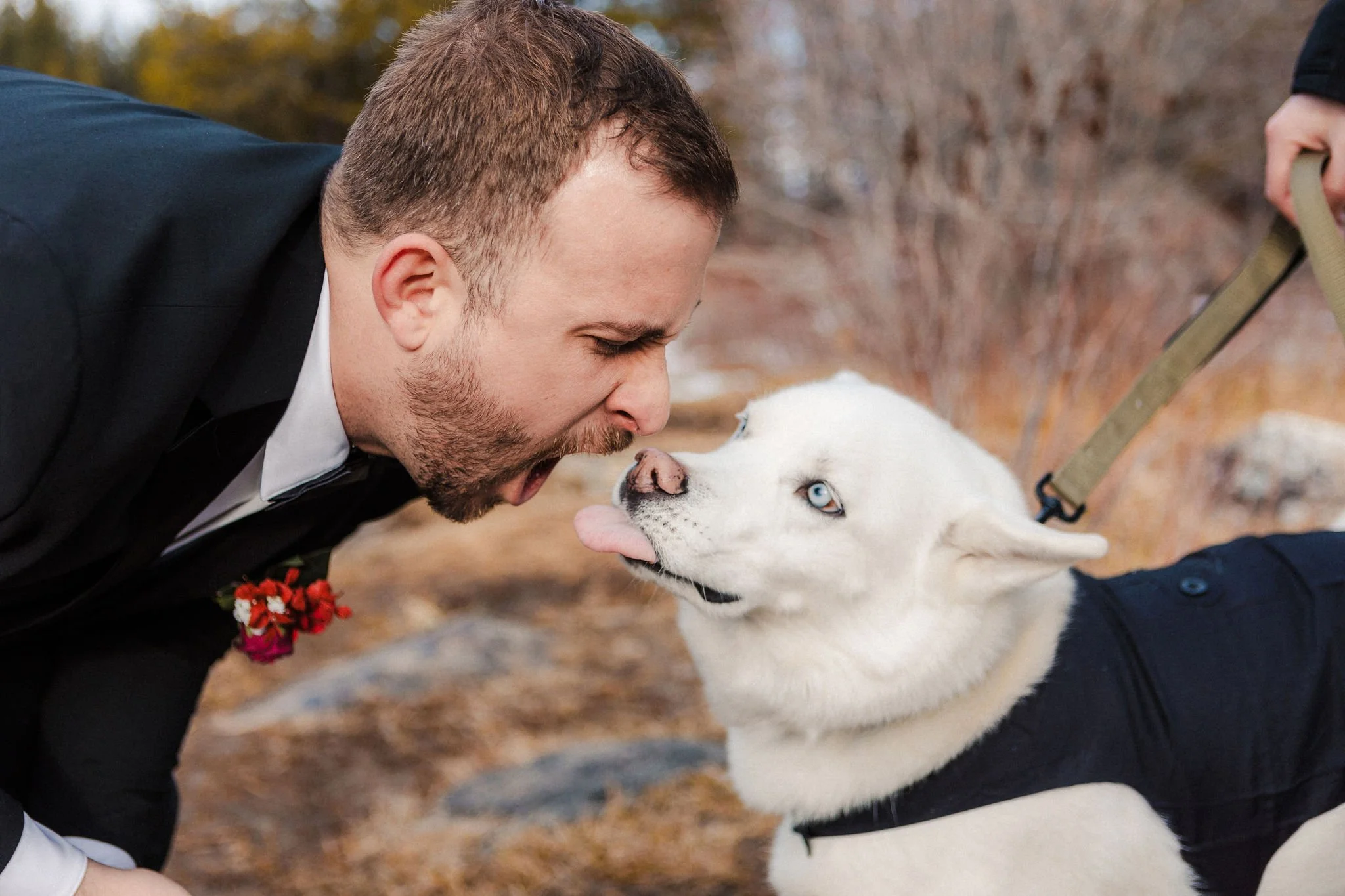 Couple’s dog sharing a sweet moment with the groom during an intimate elopement, acting as a witness to their wedding day