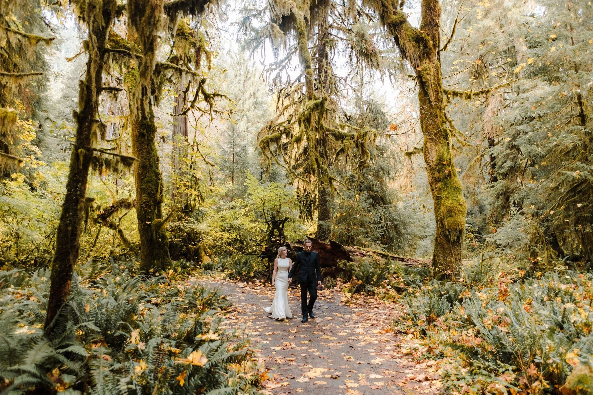 Hoh Rainforest elopement at the Hall of Mosses in Olympic National Park with a couple walking through moss-covered trees