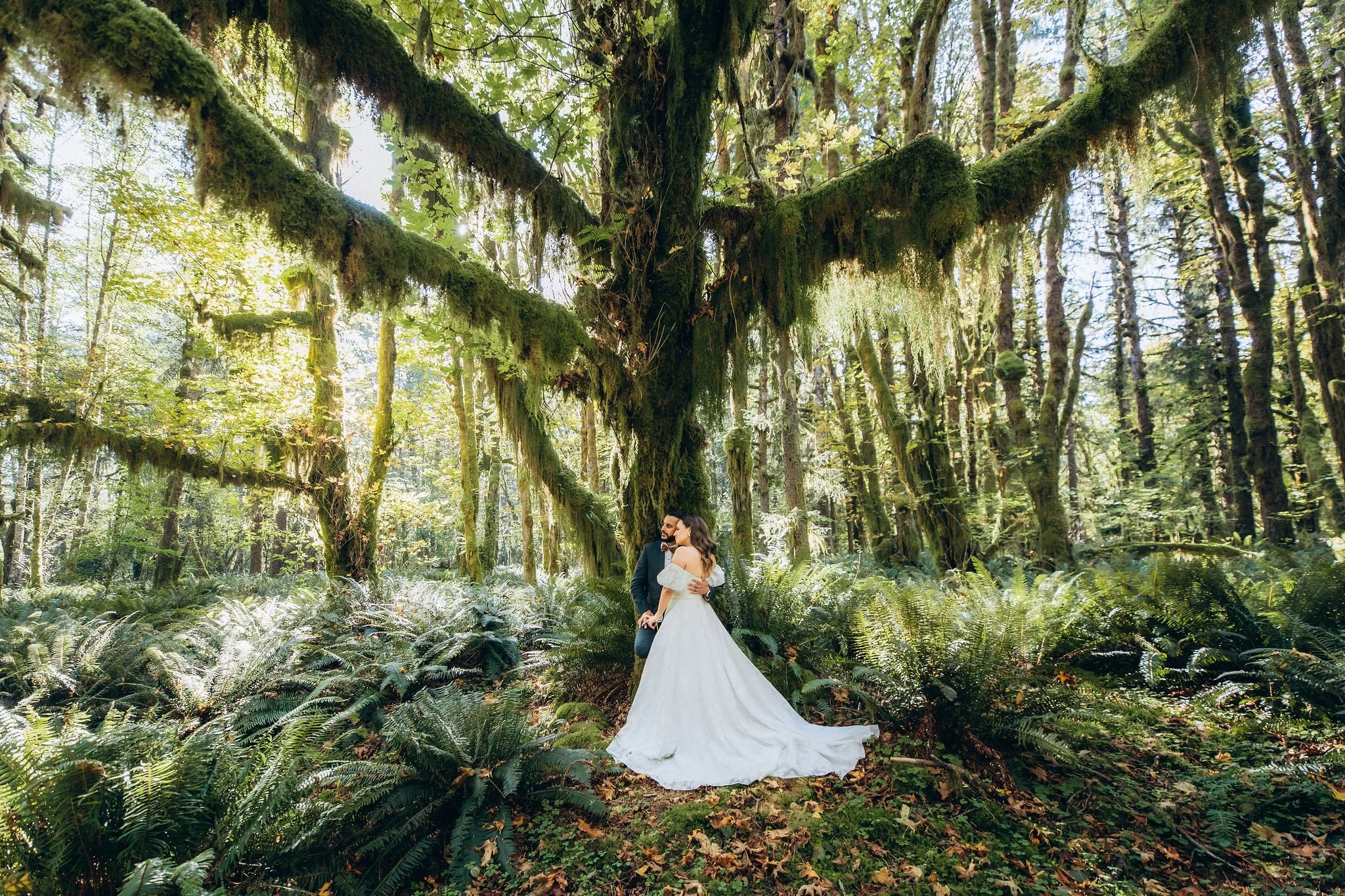 Quinault Rainforest elopement in Olympic National Forest surrounded by moss-covered trees and lush ferns