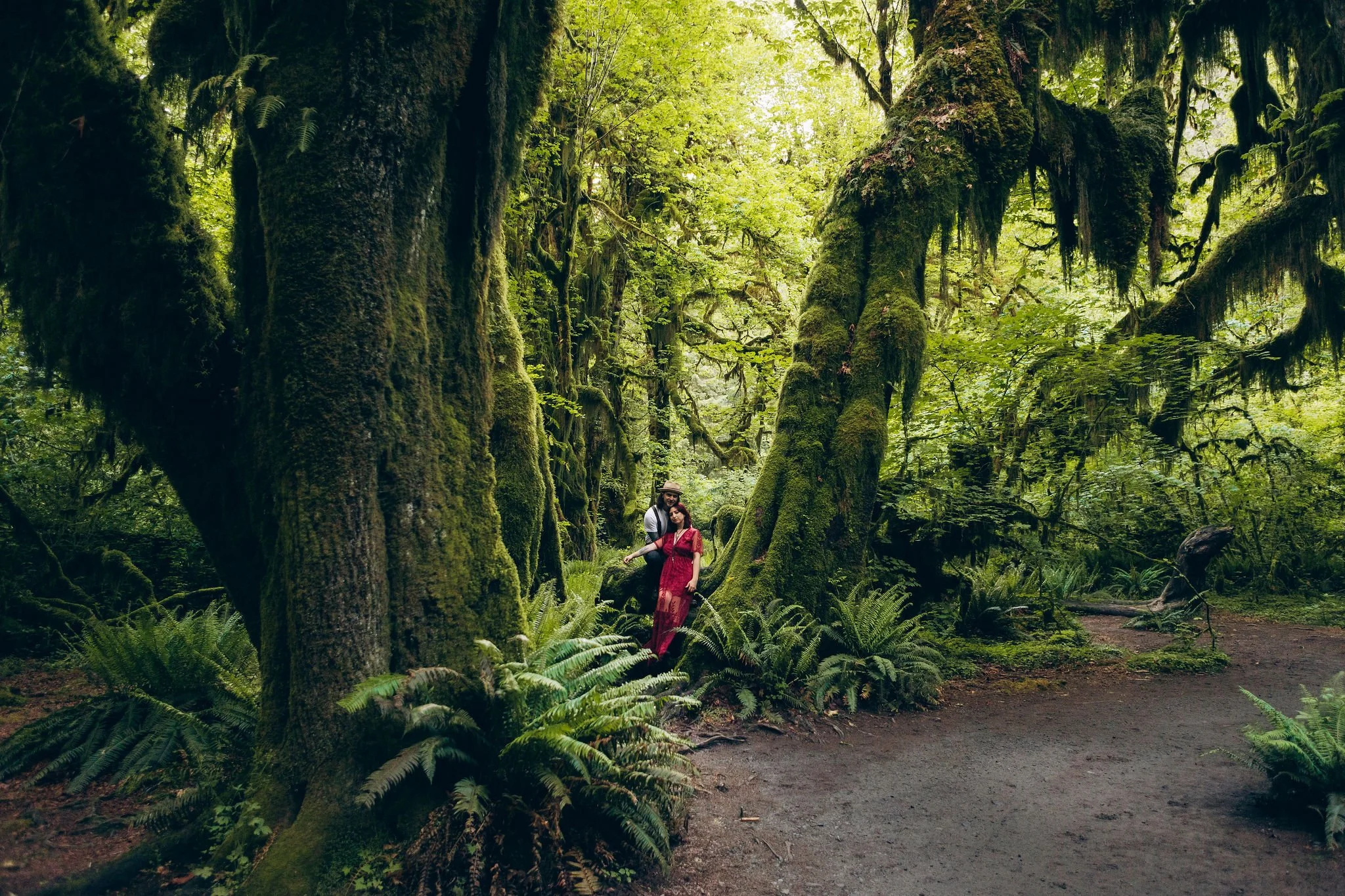 Couple in the Hoh Rain Forest during their Olympic National Park elopement surrounded by moss-covered trees
