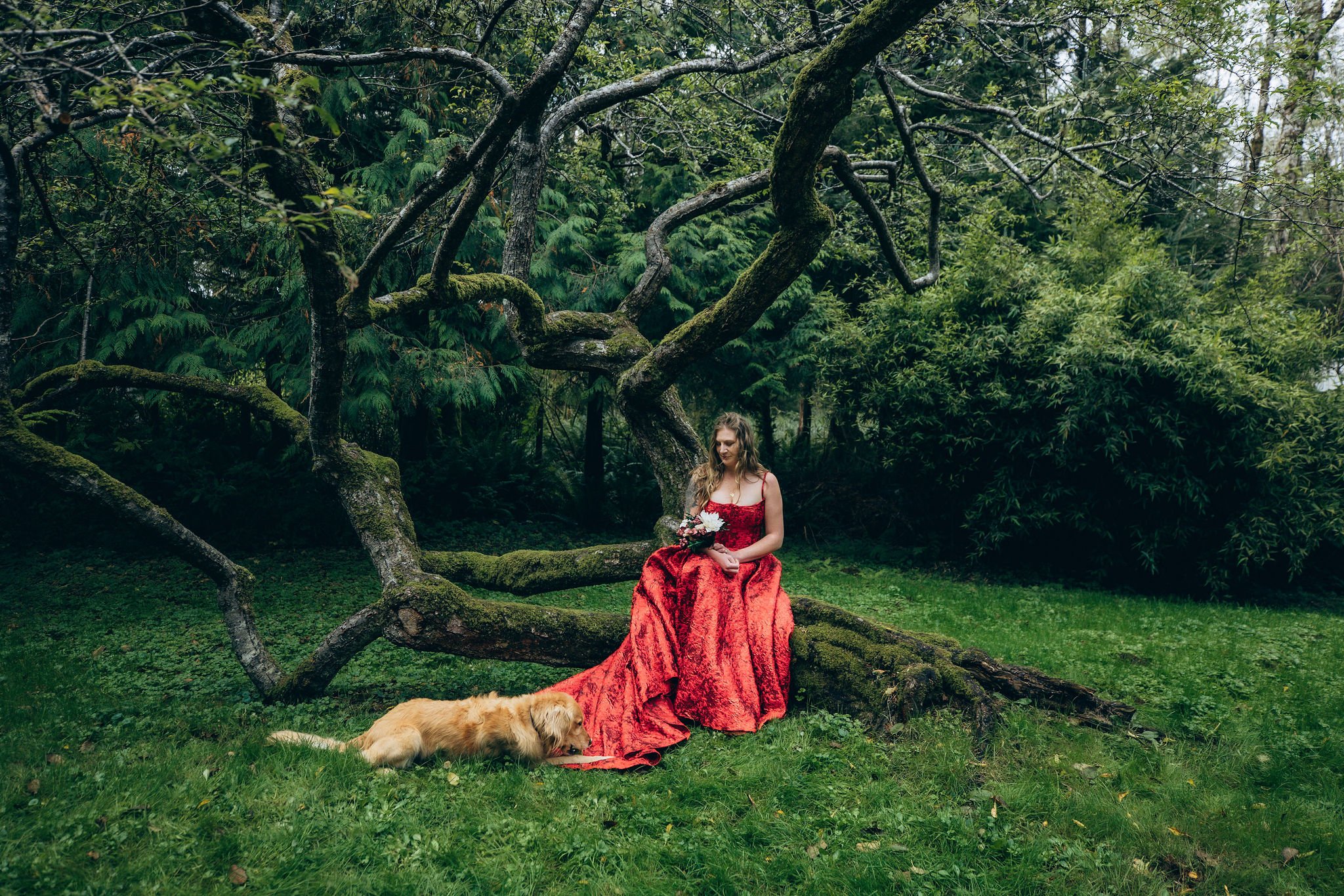 Bride in a red dress getting ready for her elopement in Oregon while sitting with her dog in a quiet forest setting