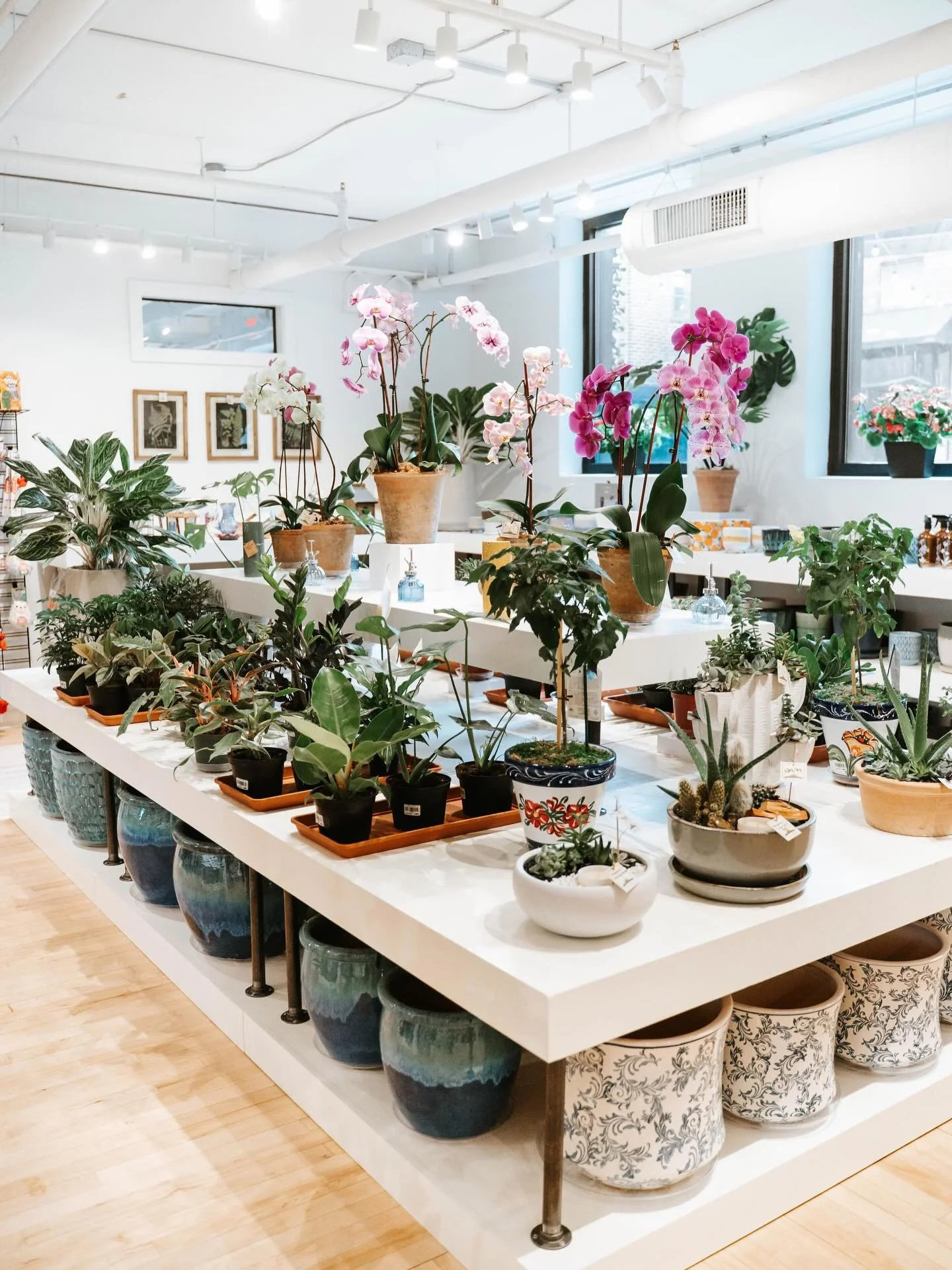 Style your closet. Refresh your space. Add a little green. 🌿 

From clothing and jewelry to home decor, plants, and thoughtful gifts, @bucks.and.co has something special waiting for you! 

Located in The Shops at The Square! 
123 N. Main Street, Dub
