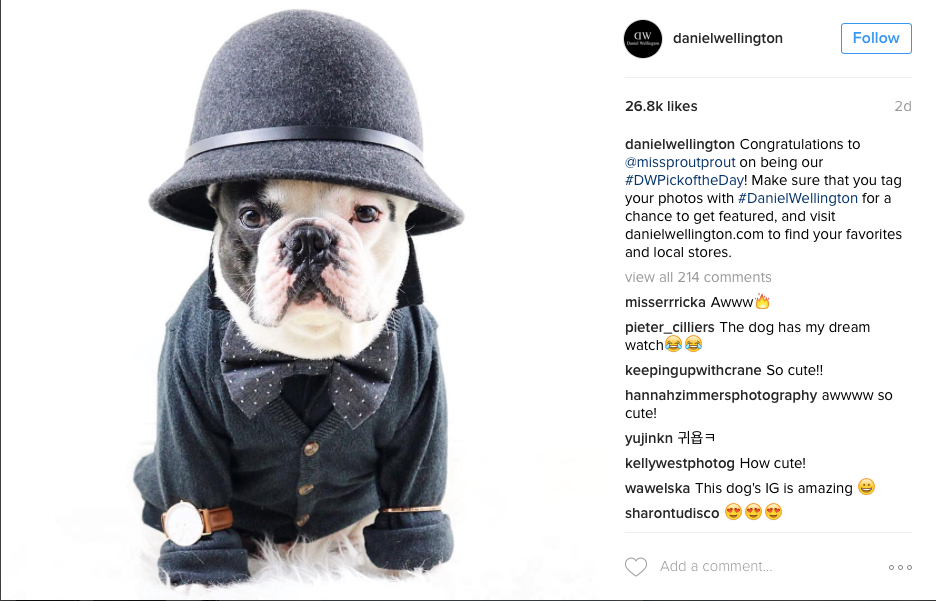 Daniel Wellington 2.png