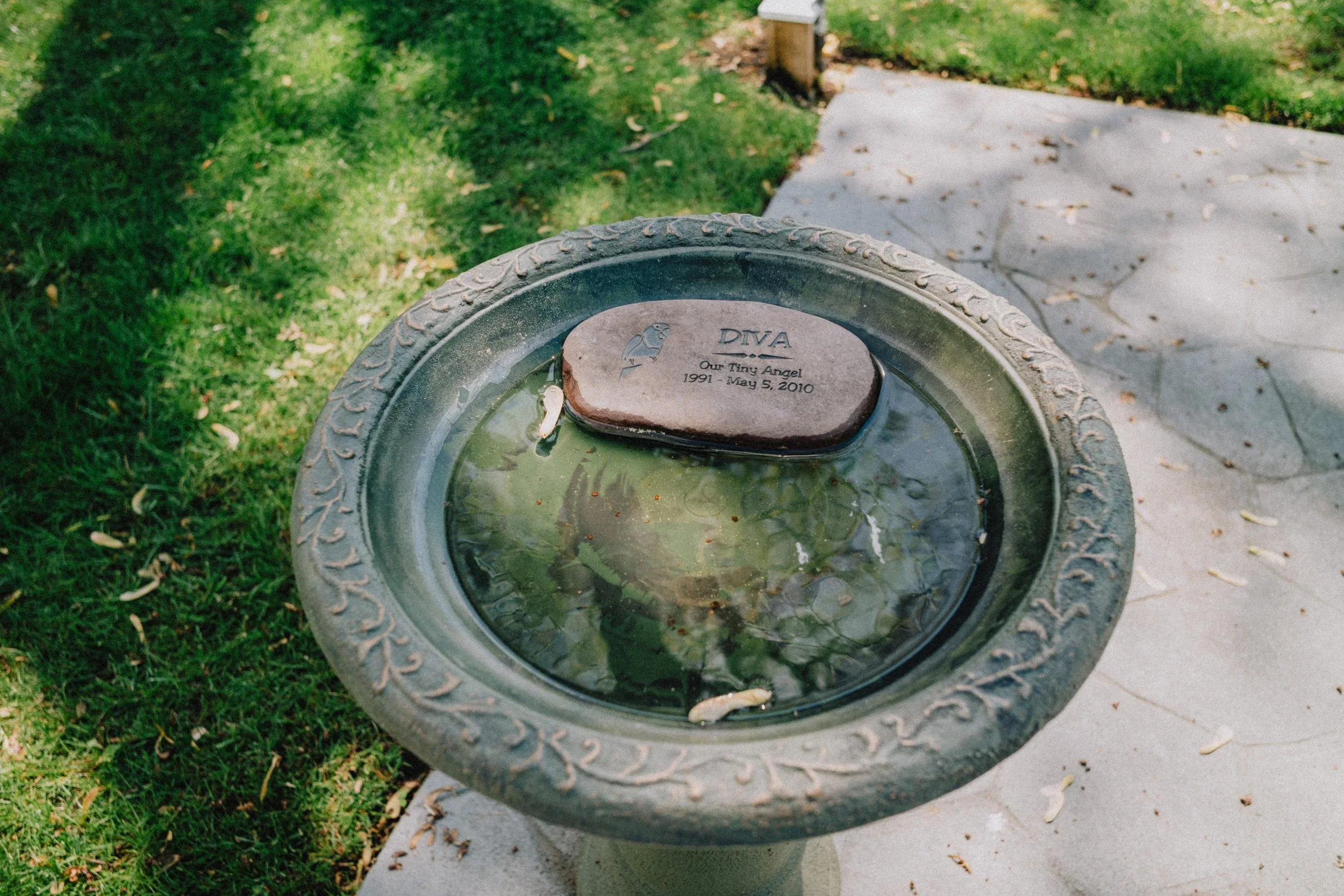 L1006085.jpg