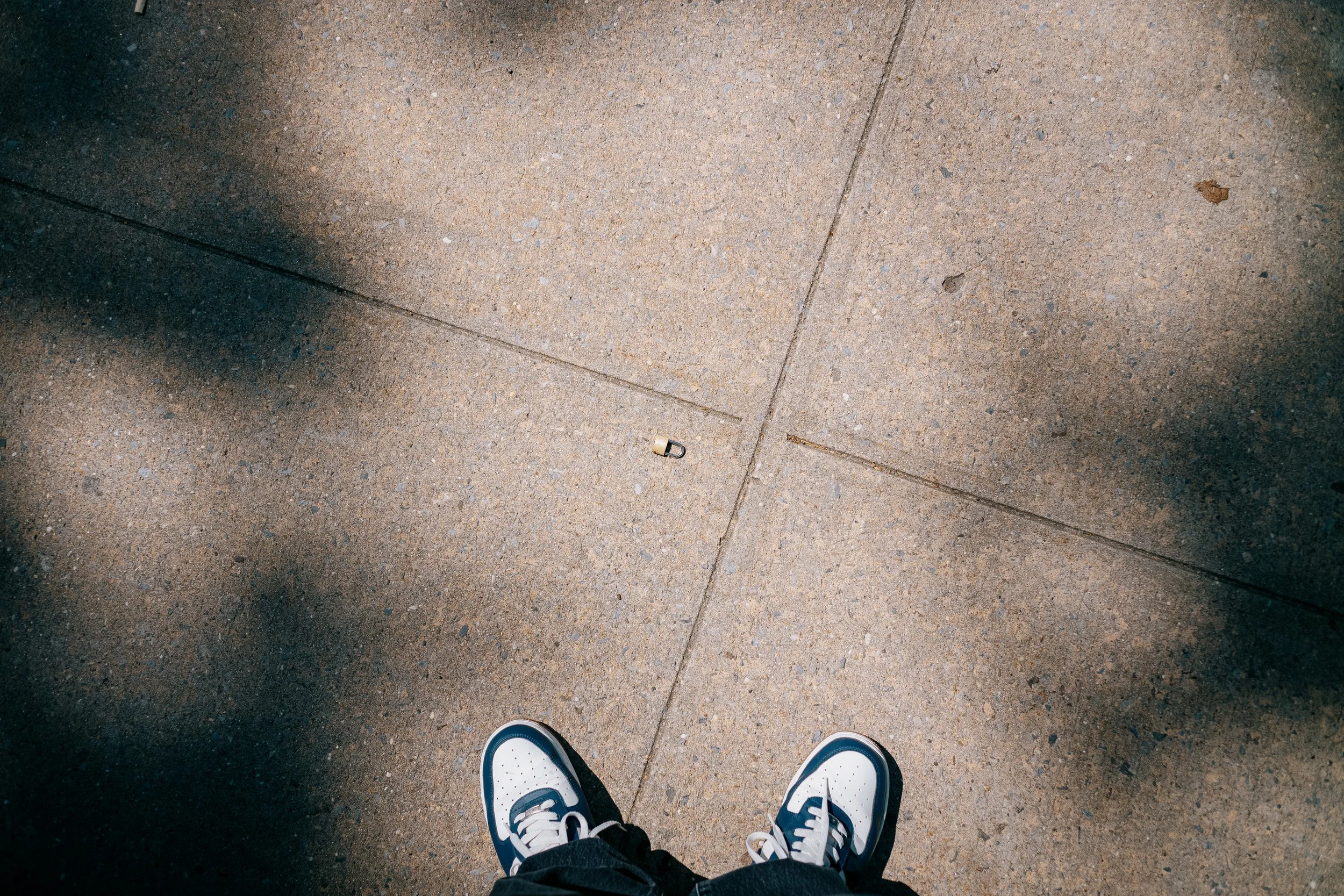 L1008803.jpg