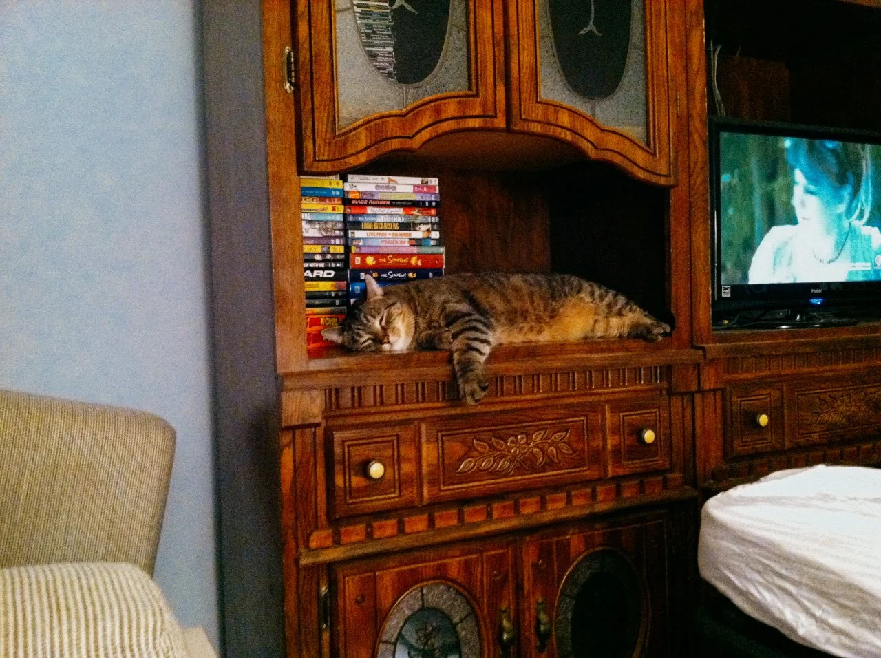 tumblr_miqpmnOCq21qbw5rno1_1280.jpg