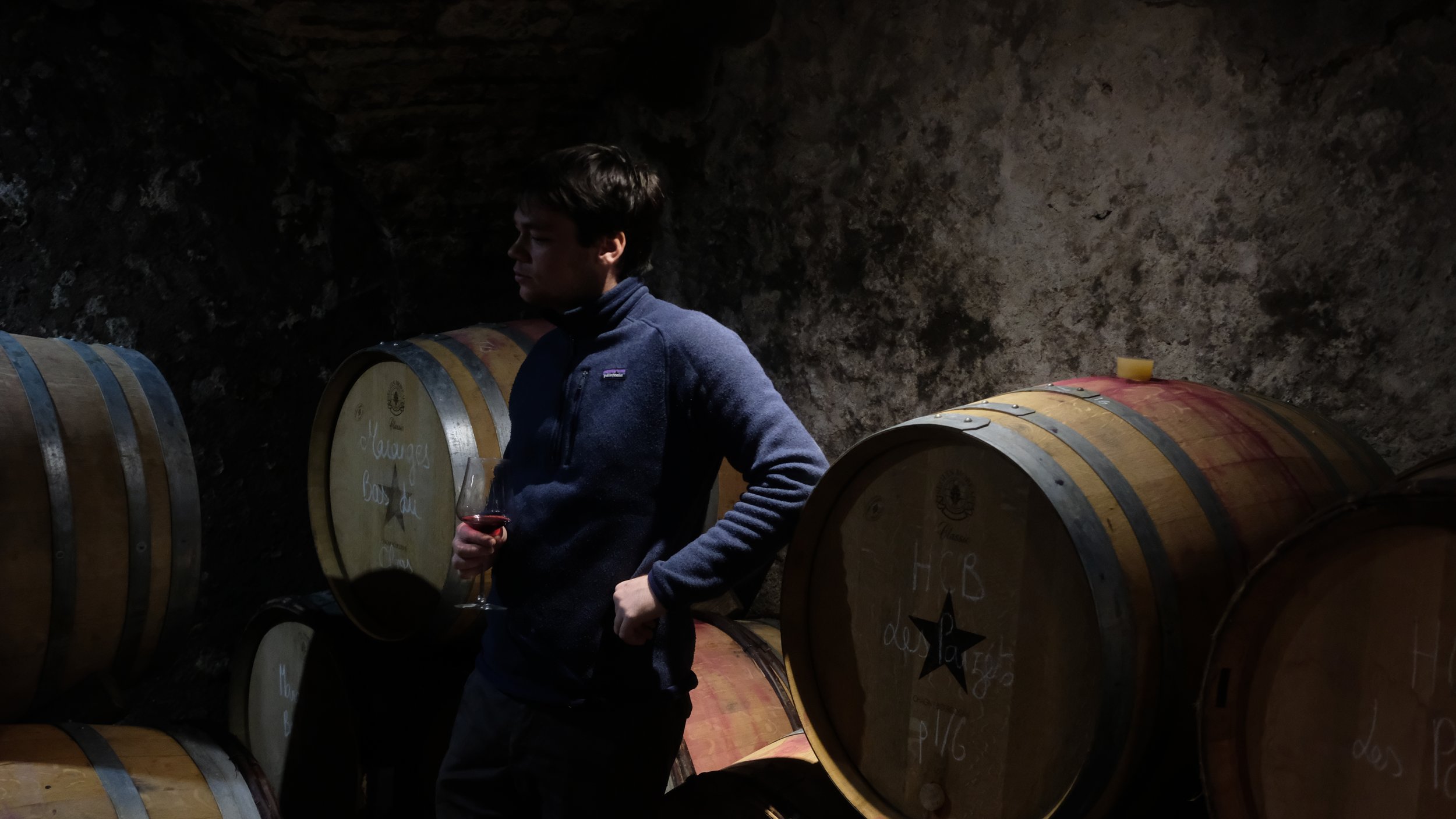 Un jeune homme tenant un verre de vin rouge dans une cave à vin sombre, entouré de fûts en bois.